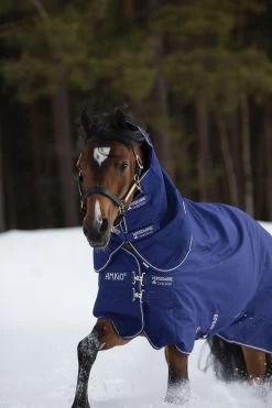 Horseware Amigo Hero 900 Plus Medium Turnout Rug, 200g