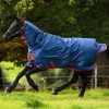 Horseware Mio One Piece Turnout Rug With Fixed Neck, 350g