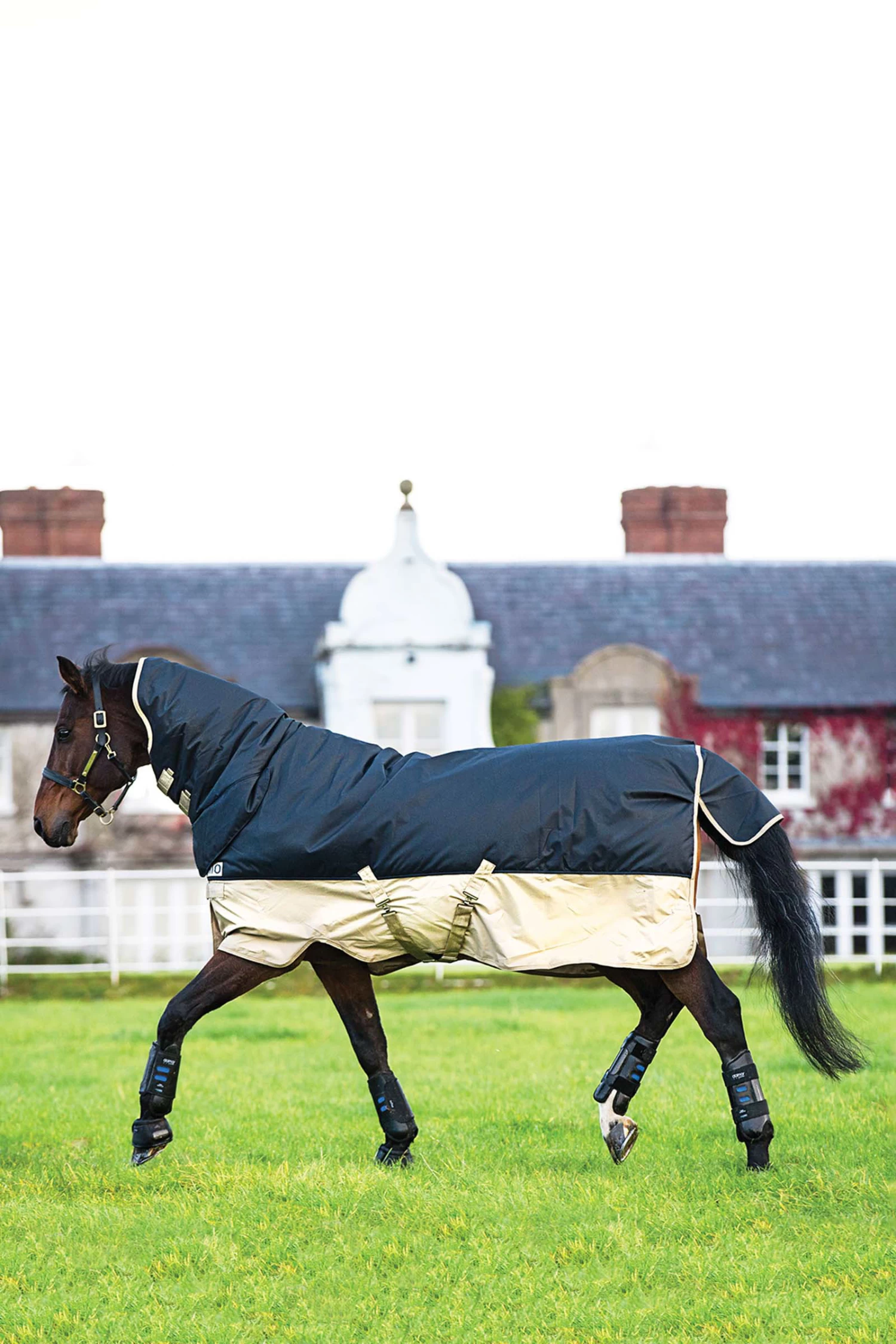 Horseware Mio One Piece Turnout Rug With Fixed Neck, 350g - Image 2