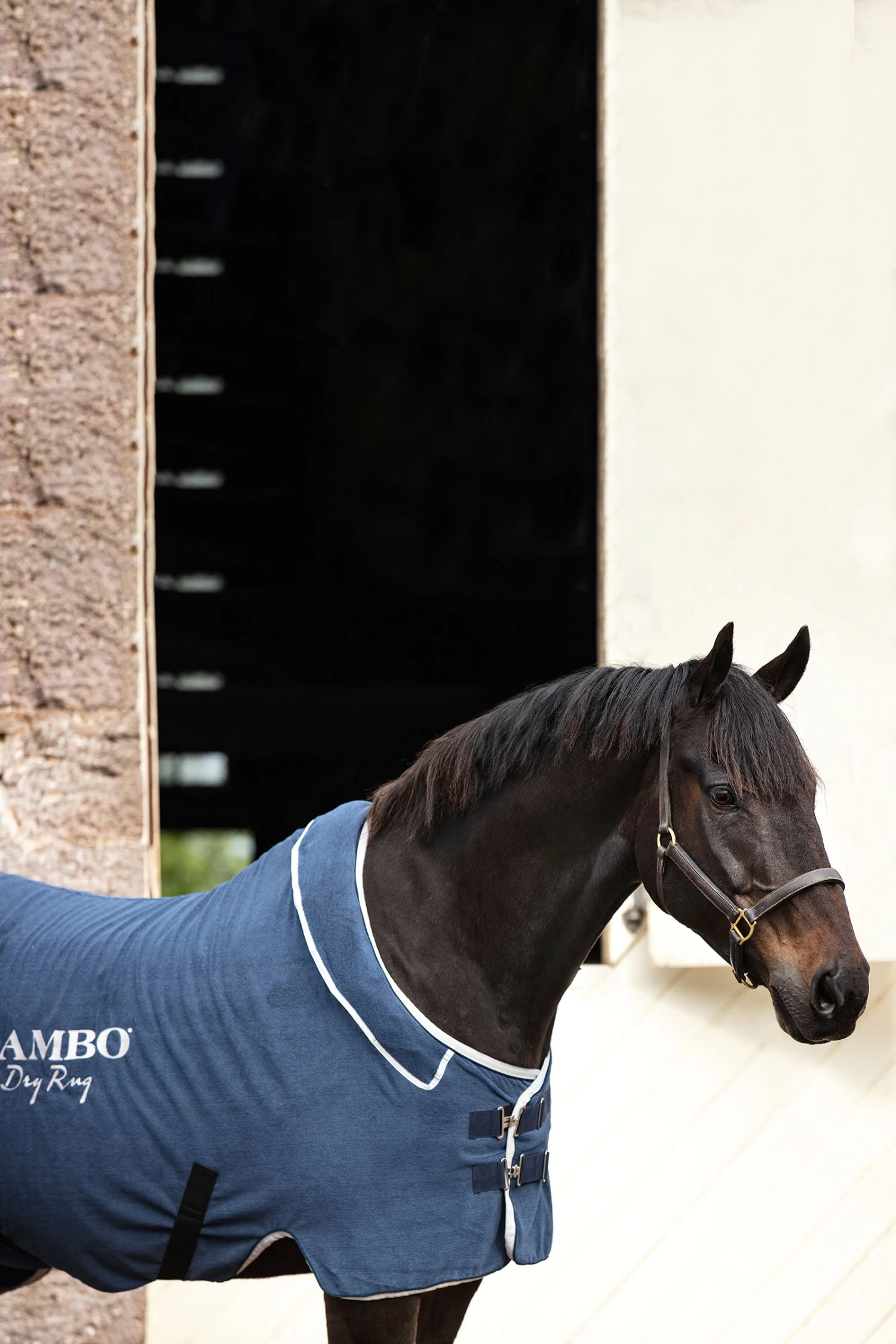 Horseware Rambo Dry Cooler - Image 2