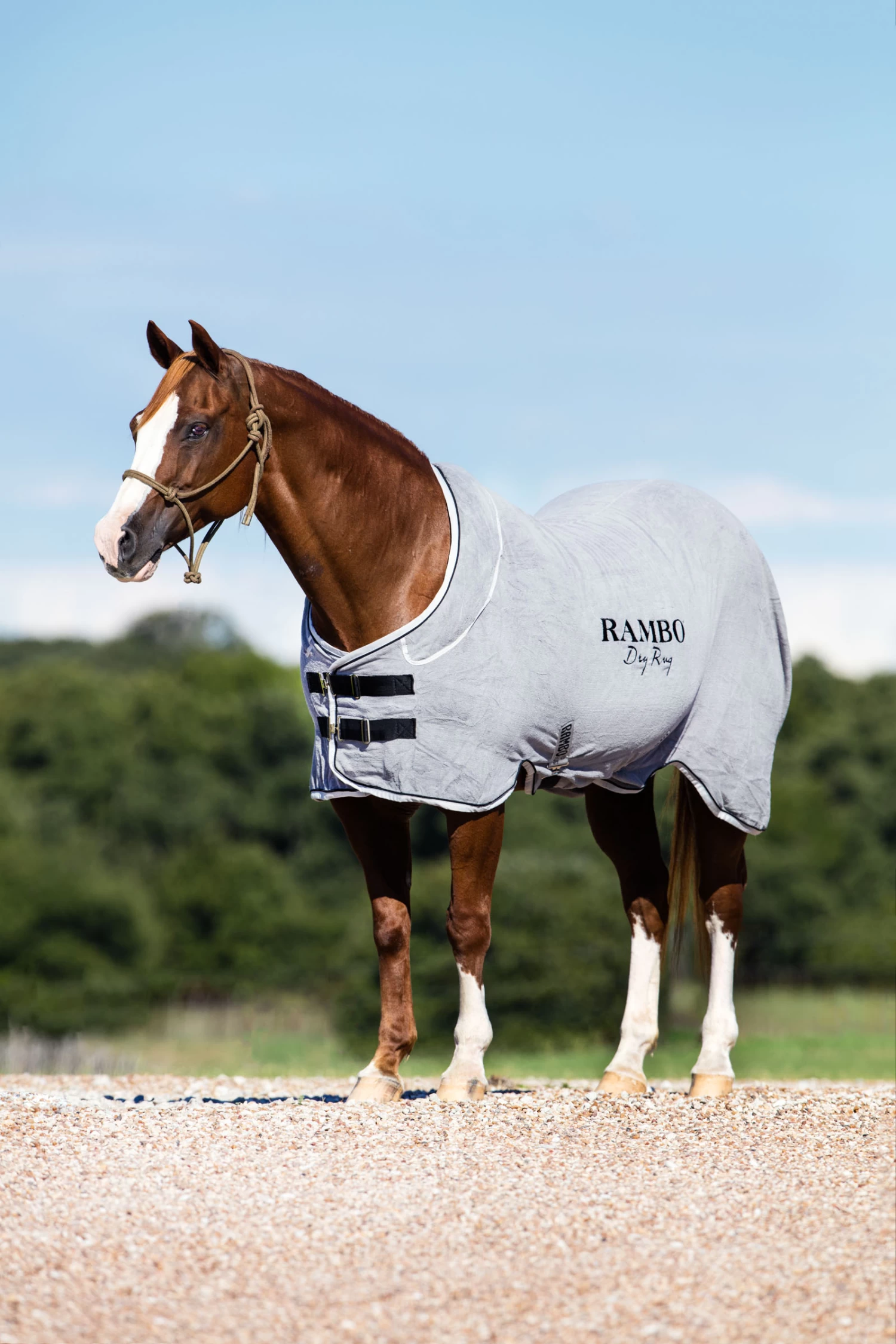 Horseware Rambo Dry Cooler - Image 3