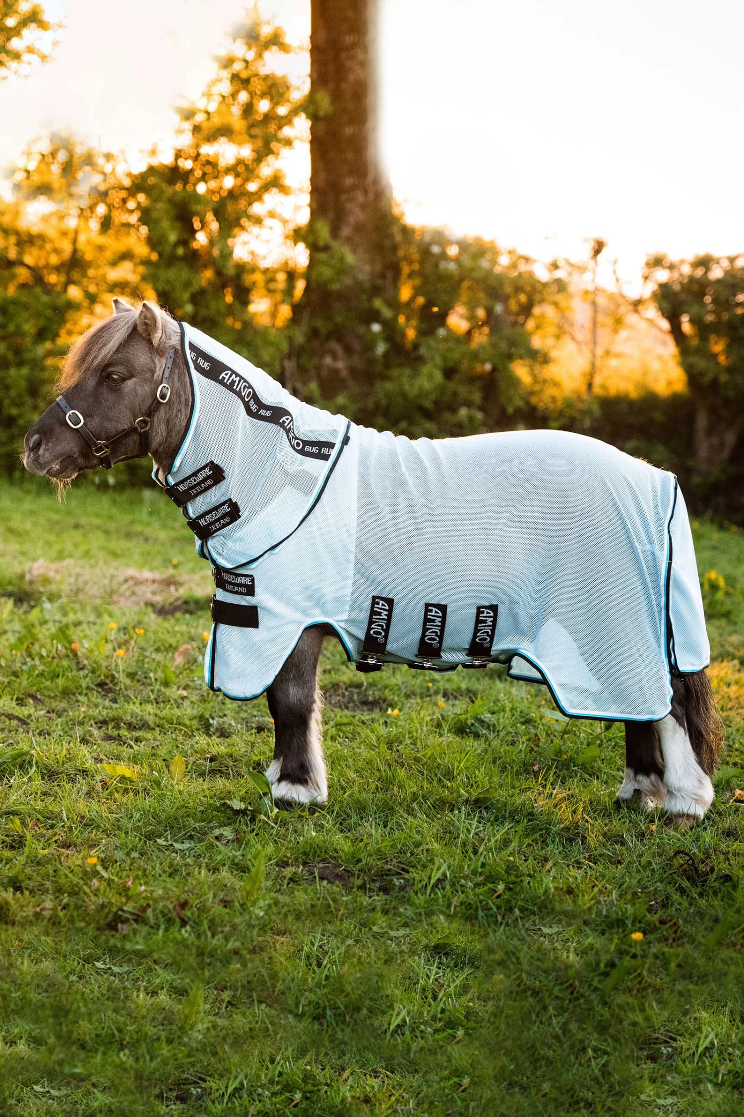 Horseware Amigo Petite Bug Rug - Image 3