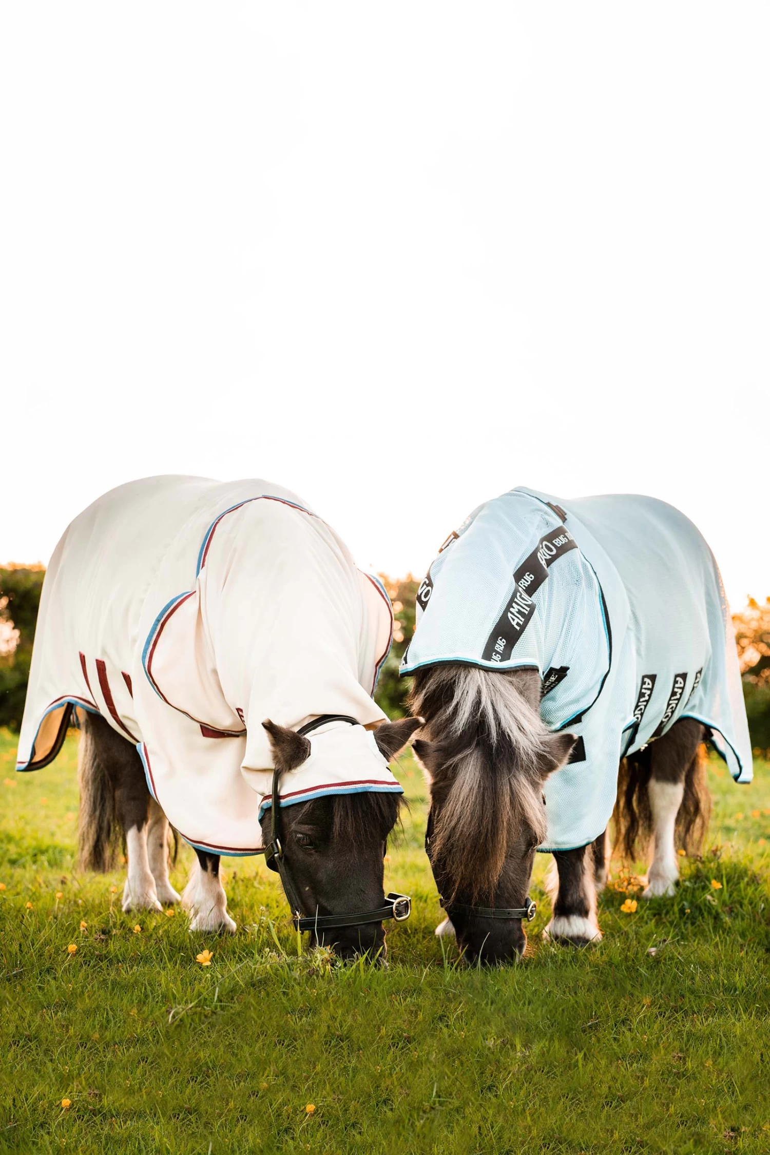 Horseware Amigo Petite Bug Rug - Image 5