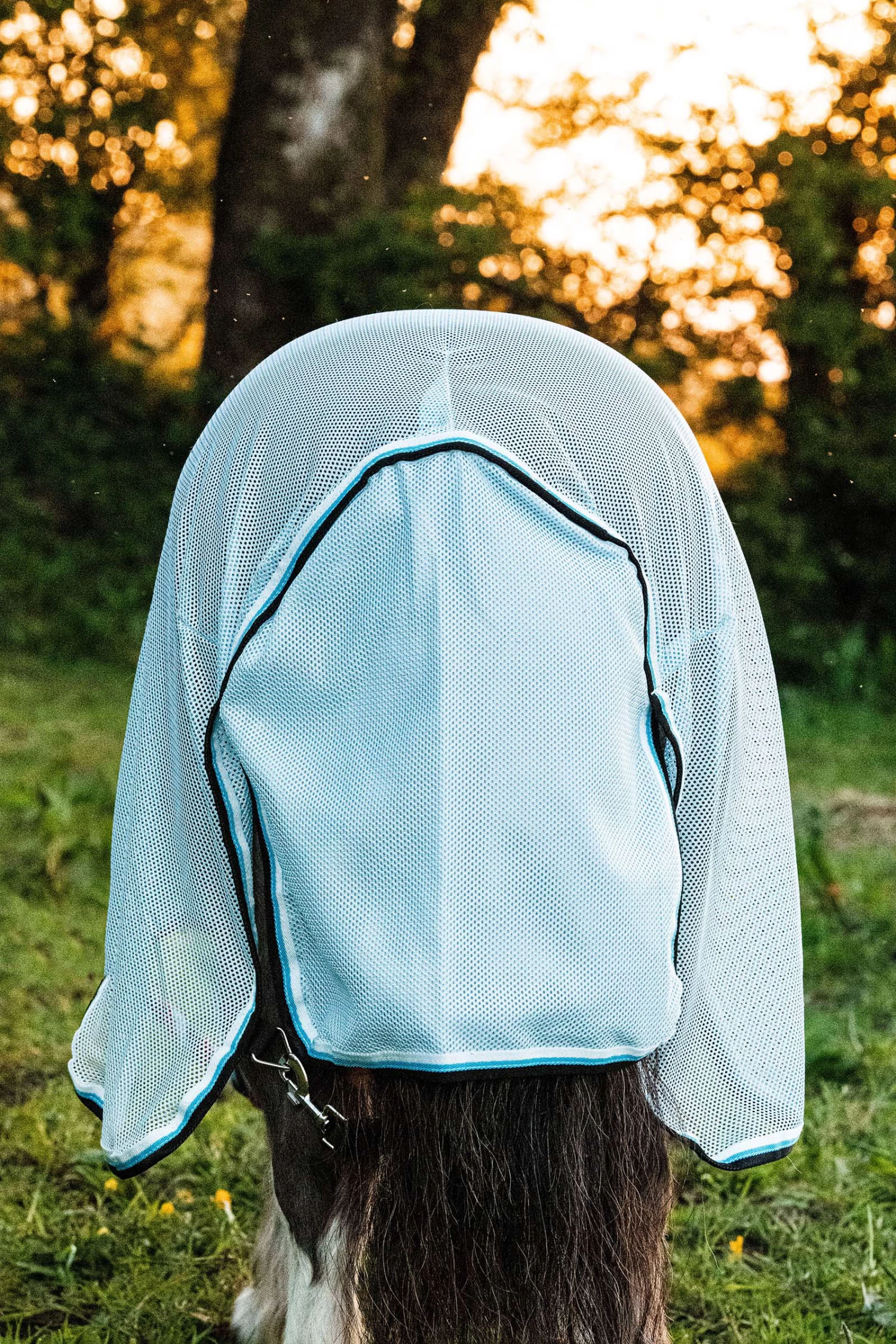 Horseware Amigo Petite Bug Rug - Image 6