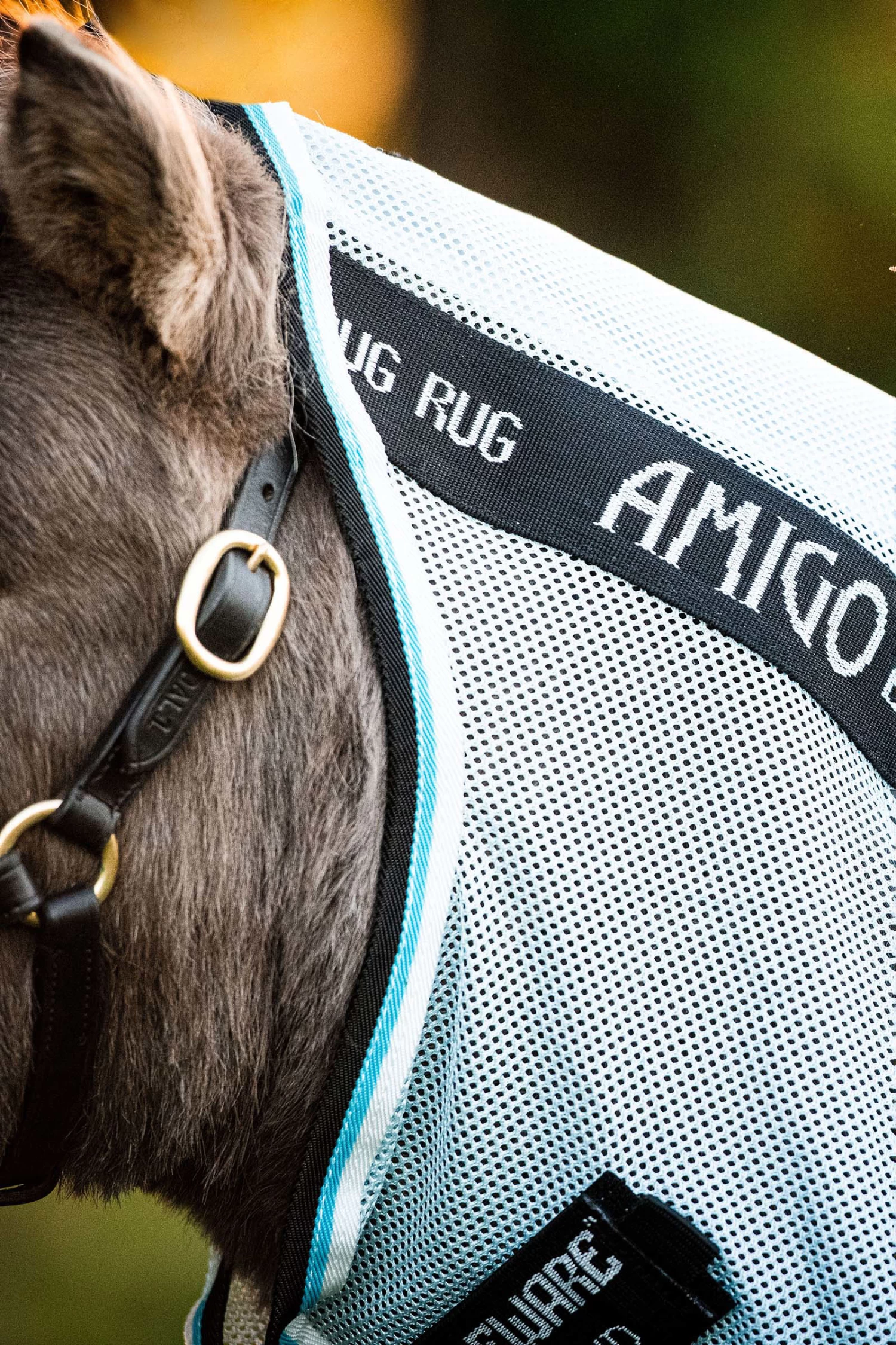 Horseware Amigo Petite Bug Rug - Image 8