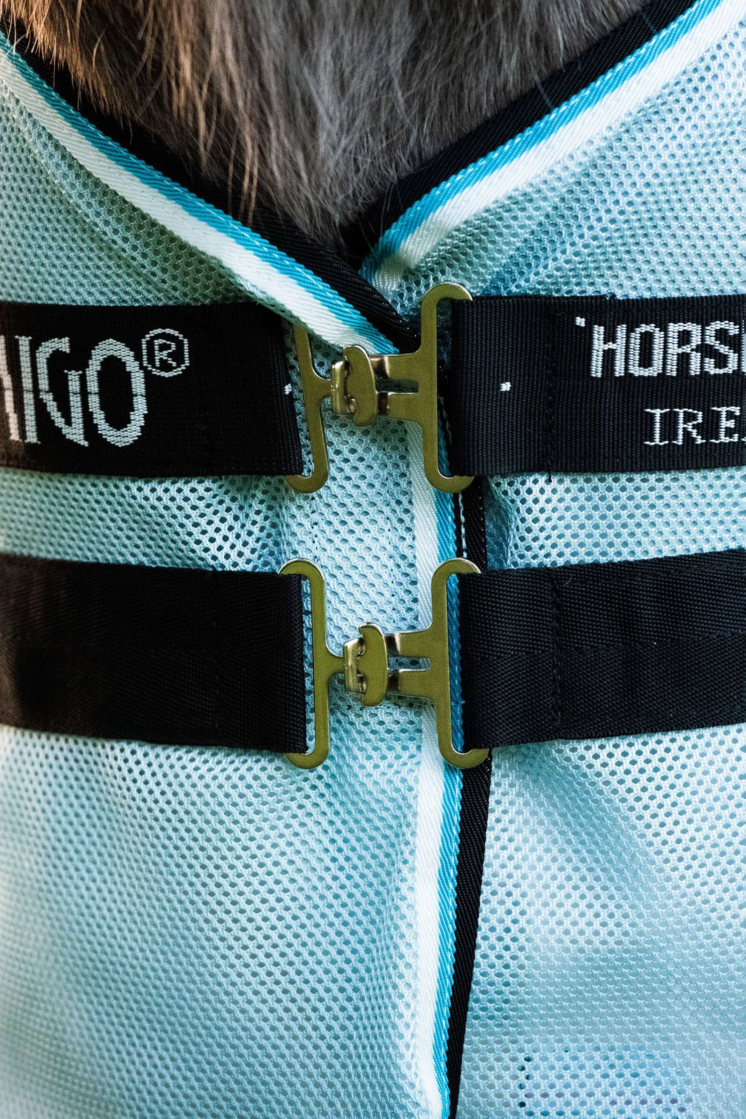 Horseware Amigo Petite Bug Rug - Image 9