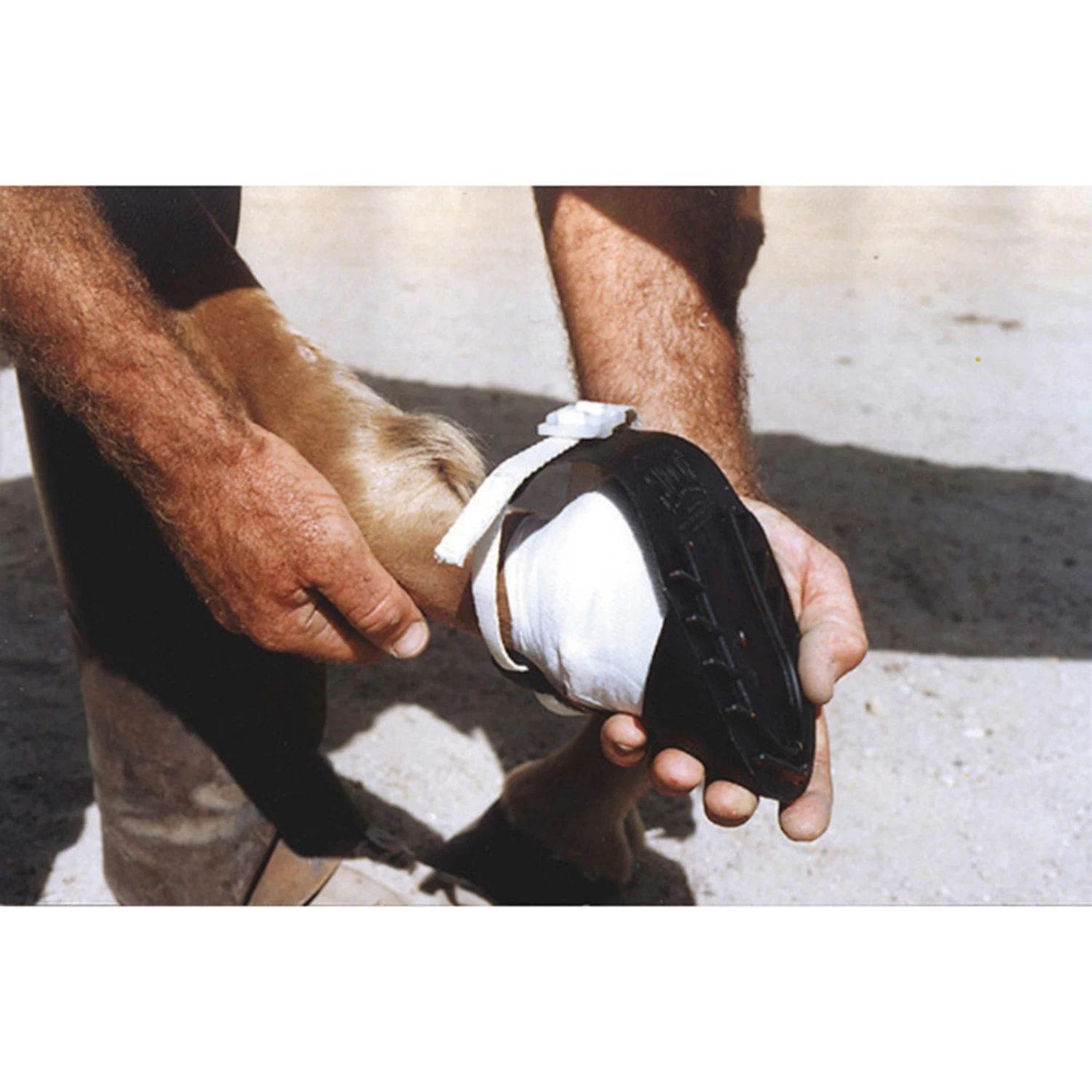 Shoof´s Horse Shoe (1 Piece) - Image 3