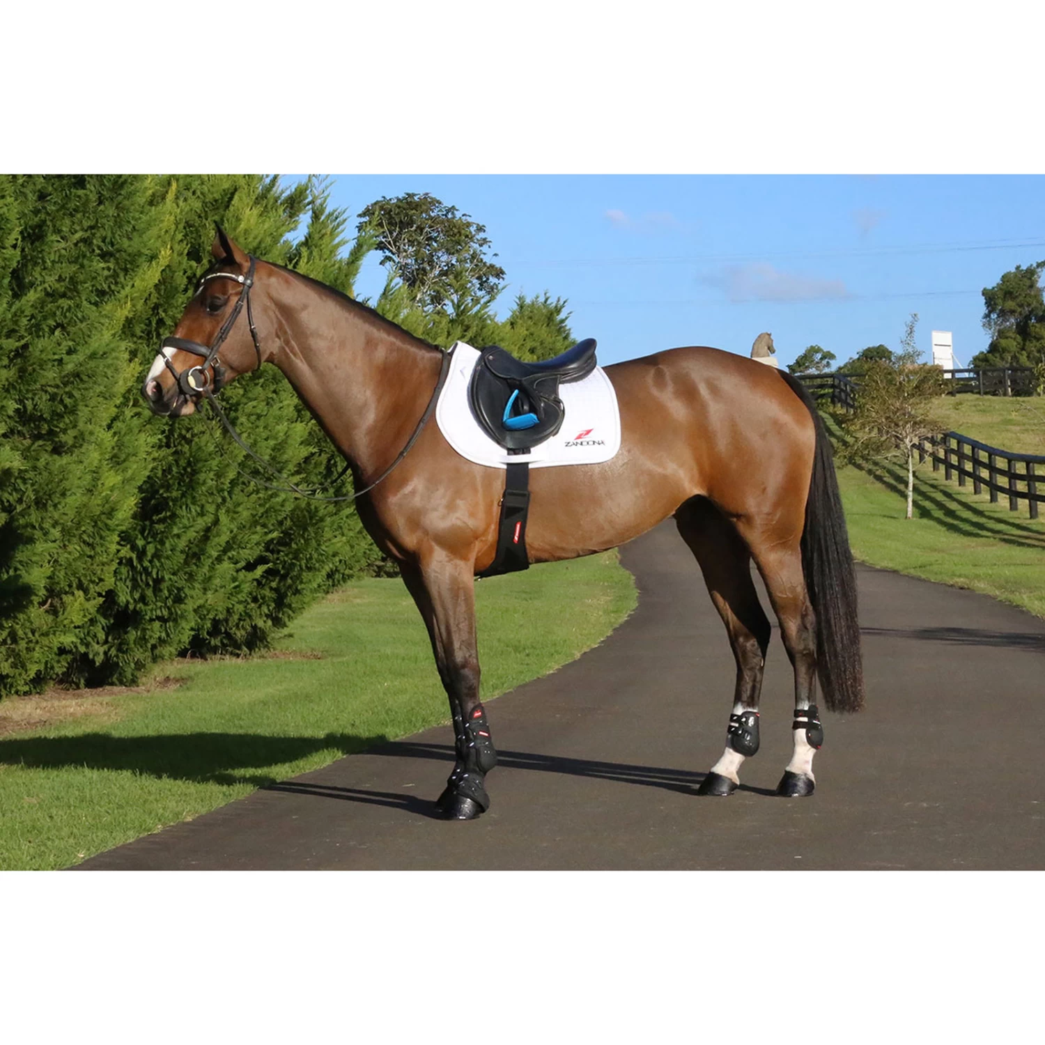 Zandona CARBON AIR Candy Girth - Image 2