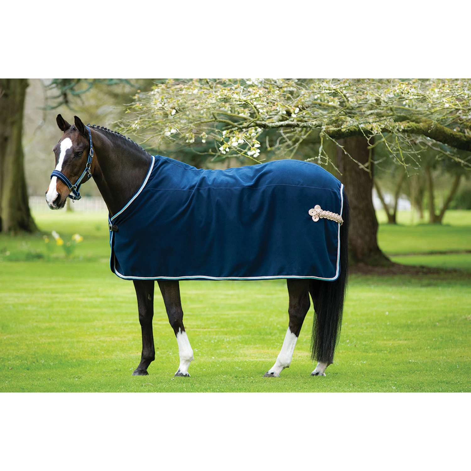 Horseware Rambo Show Rug - Image 2