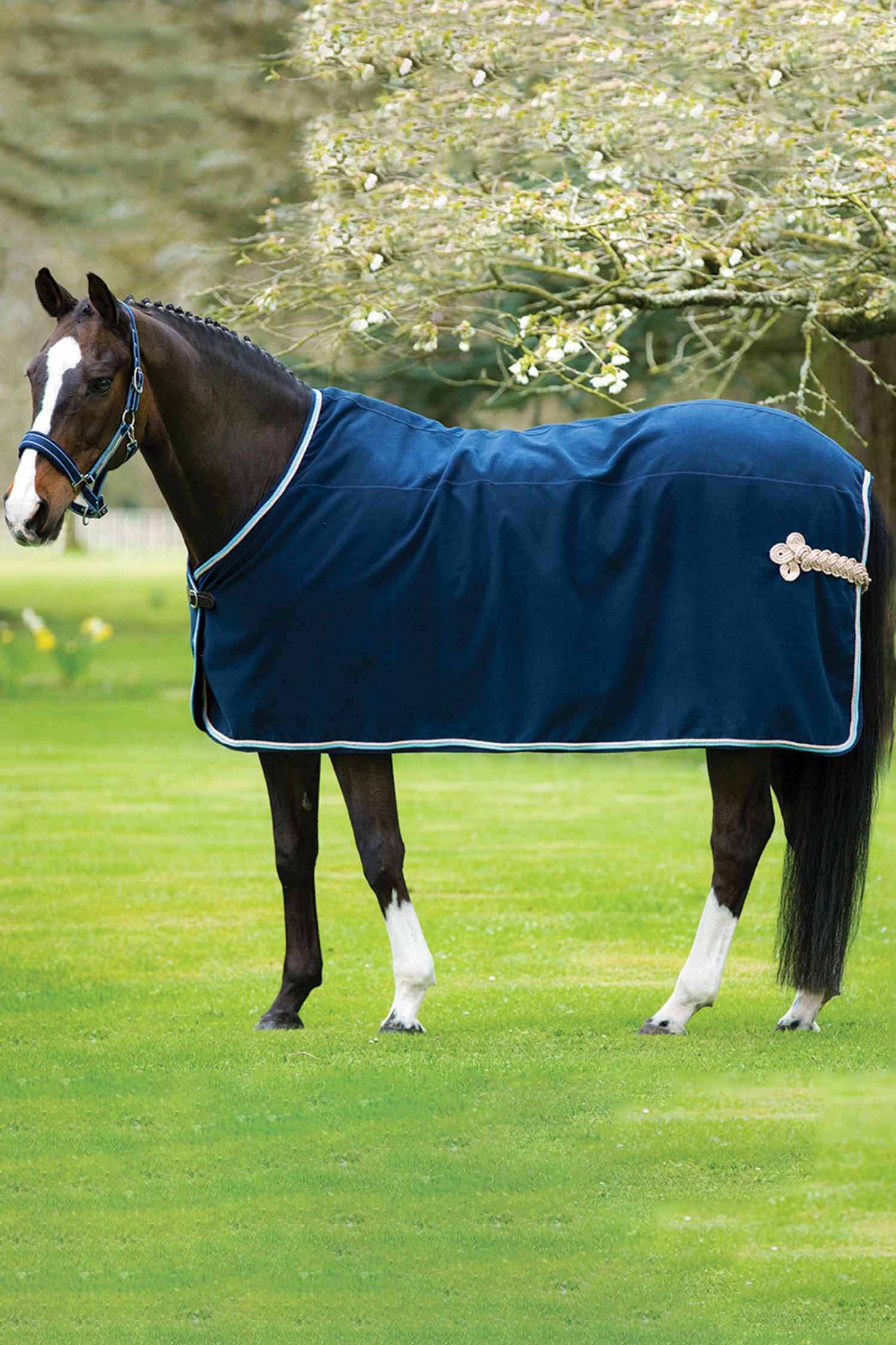 Horseware Rambo Show Rug - Image 4
