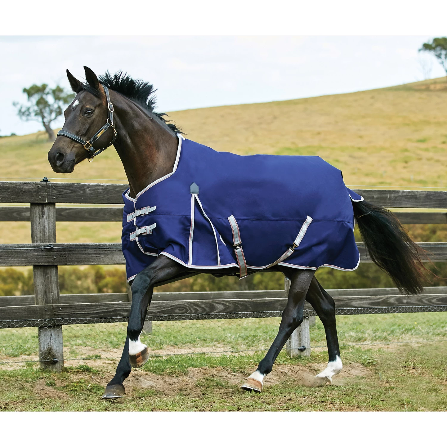 Weatherbeeta Comfitec Essential Turnout Rug, 0g - Image 3