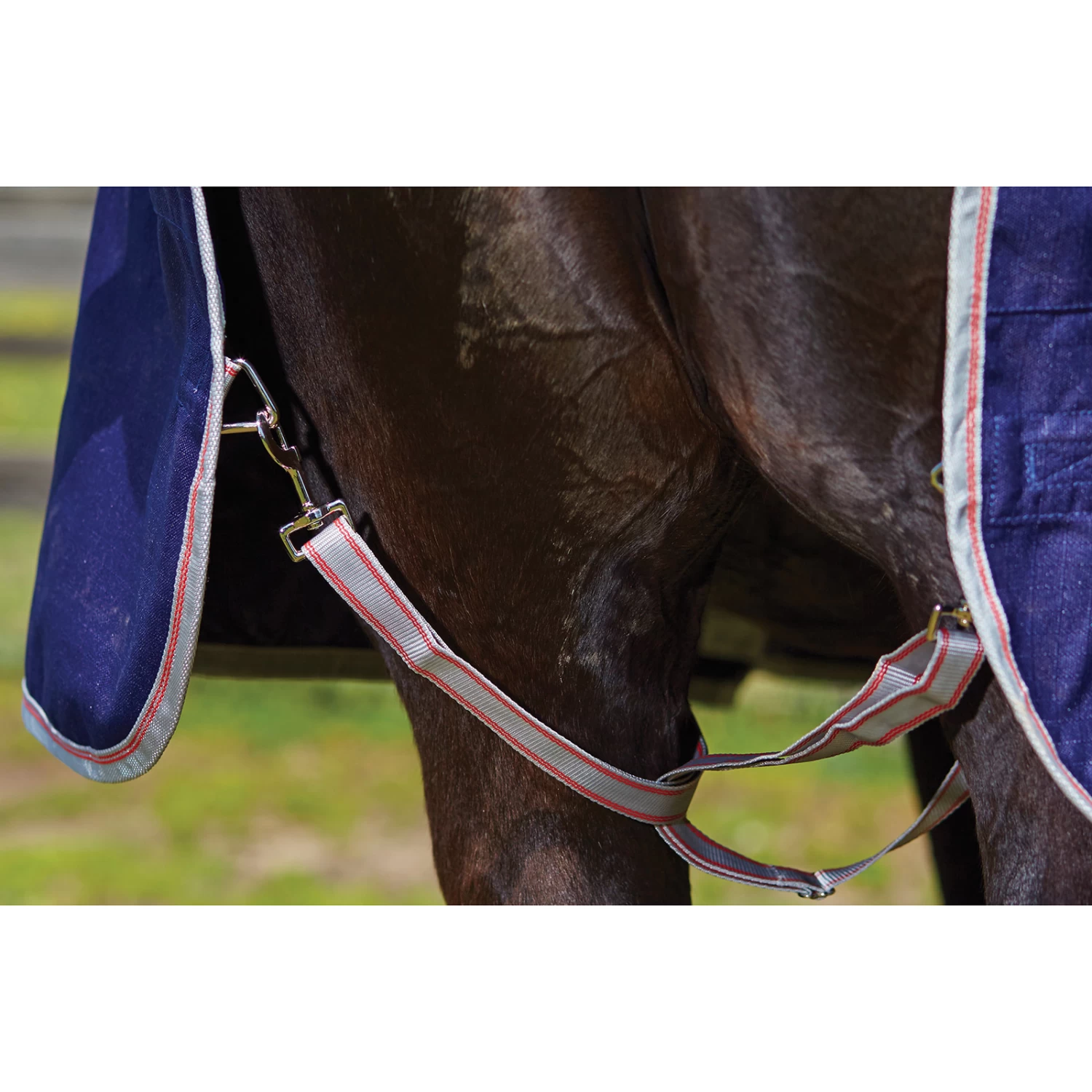 Weatherbeeta Comfitec Essential Turnout Rug, 0g - Image 10