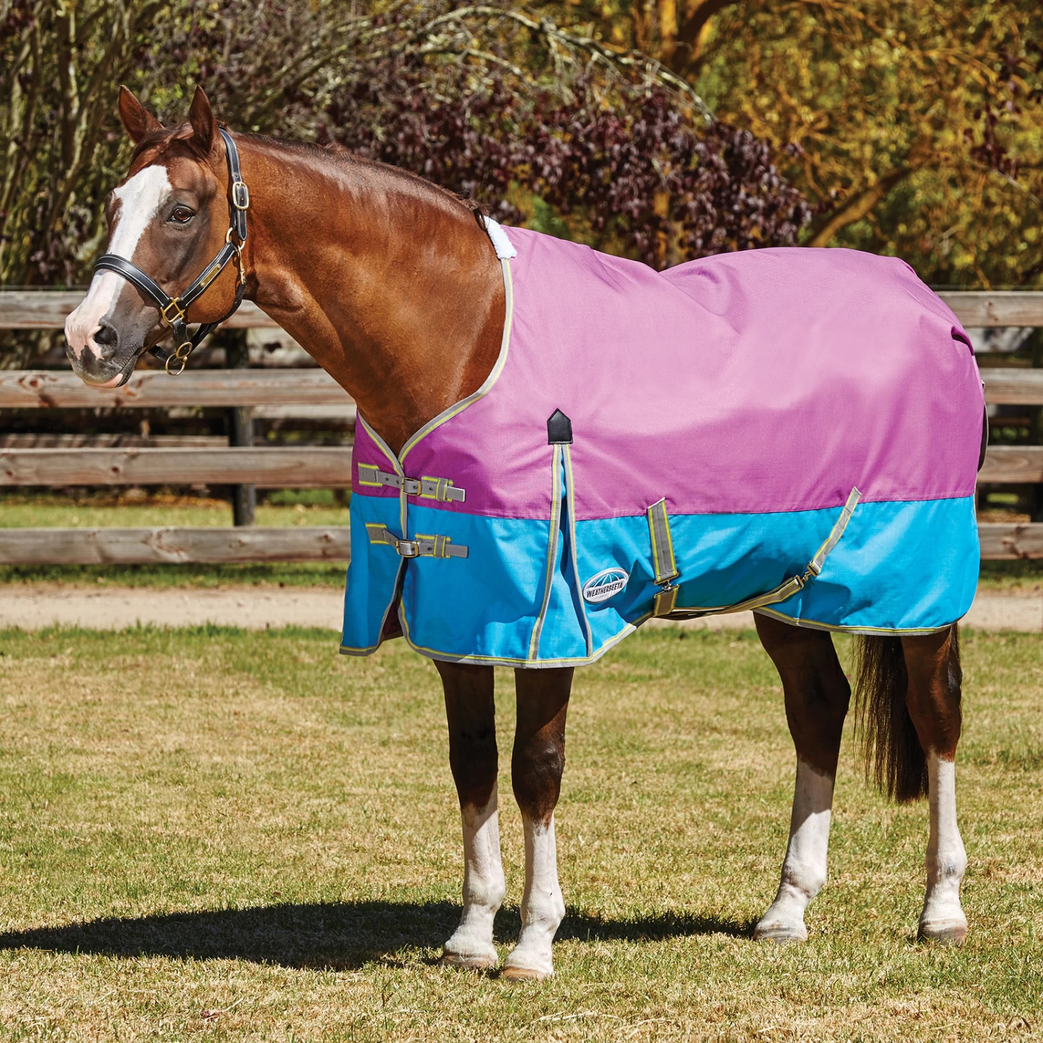 Weatherbeeta Comfitec Essential Turnout Rug, 0g - Image 13