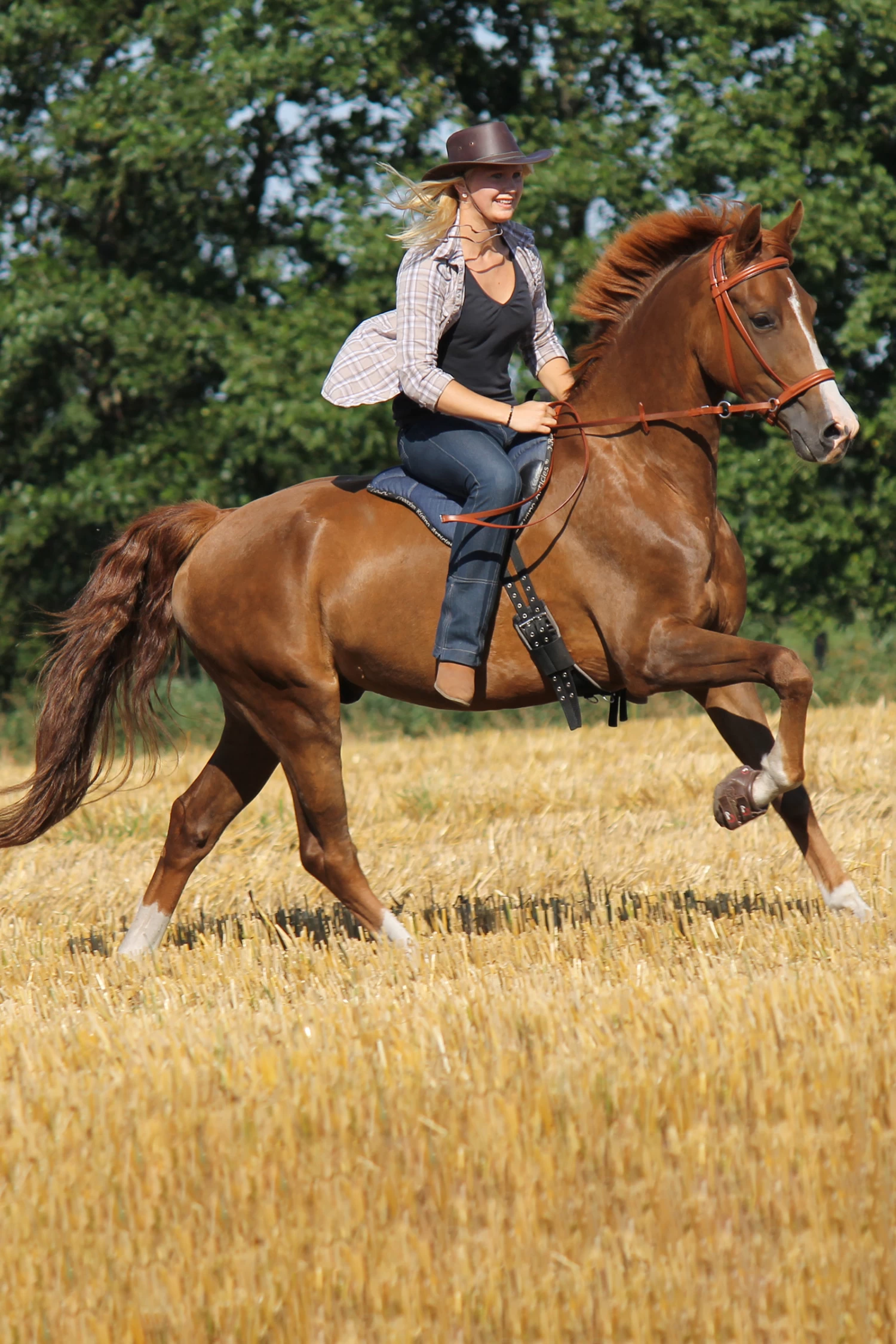 F.R.A. Cavallo Hoof Boots Simple - Image 3