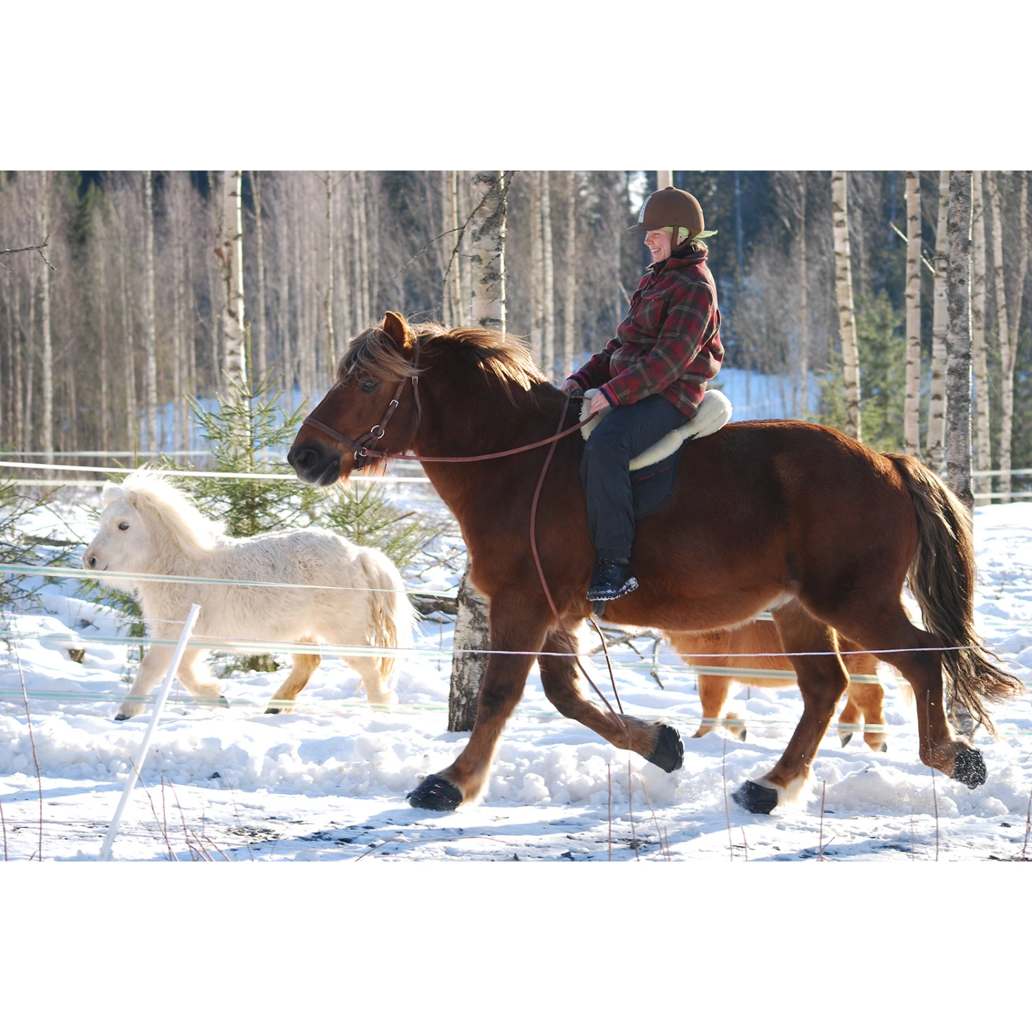 F.R.A. Cavallo Hoof Boots Simple Slim - Image 2