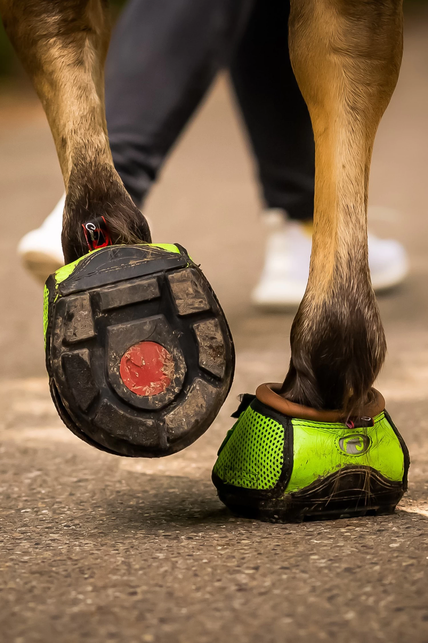 F.R.A. Cavallo Hoof Boots TREK SLIM - Image 2