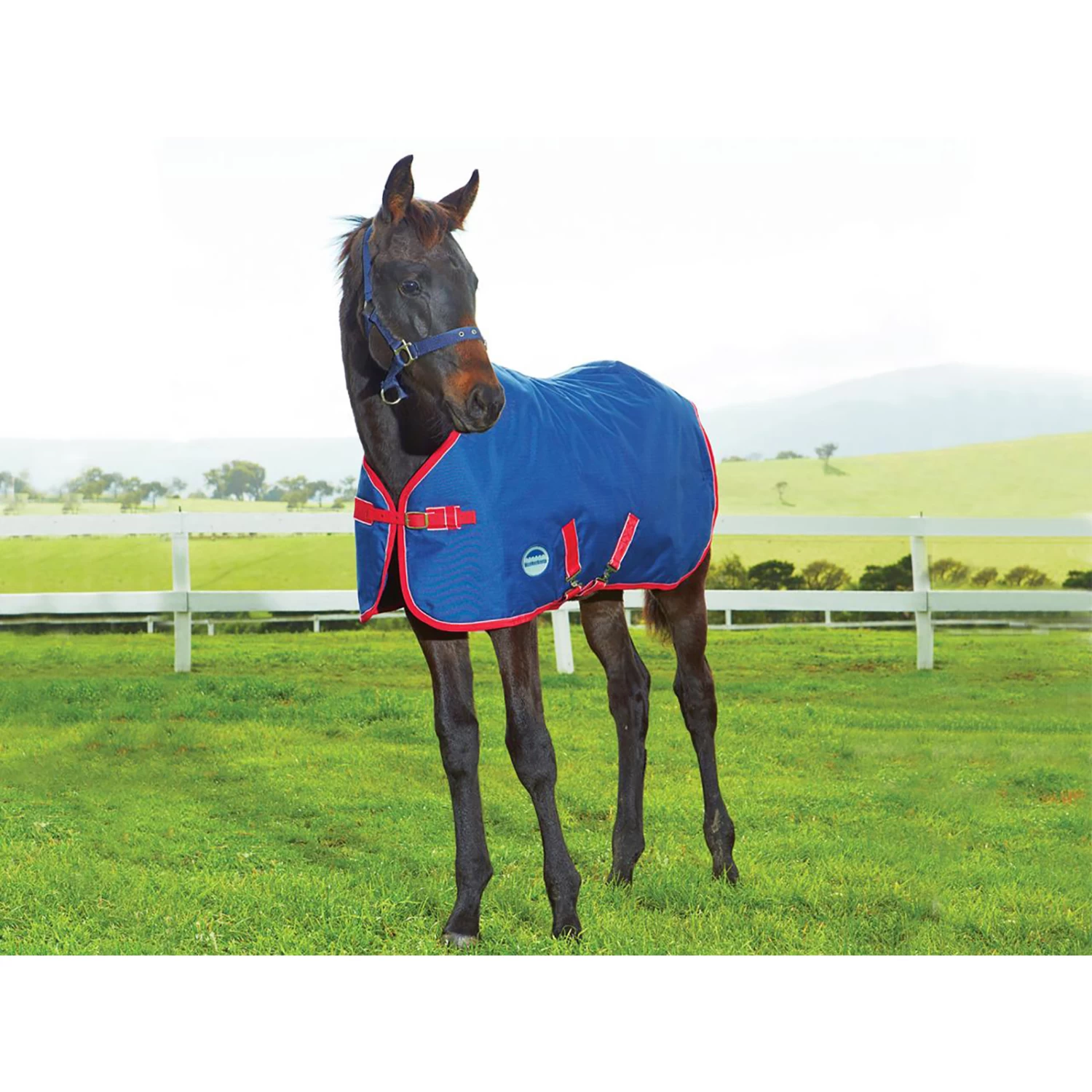 Weatherbeeta Original Foal Rug, 220g