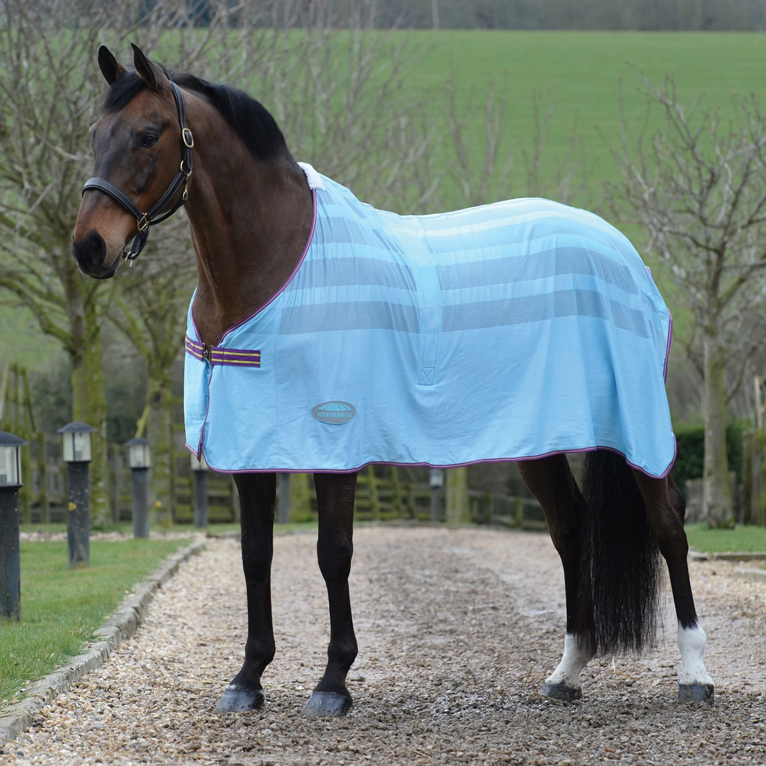 Weatherbeeta Weaterbeeta Scrim Cooler