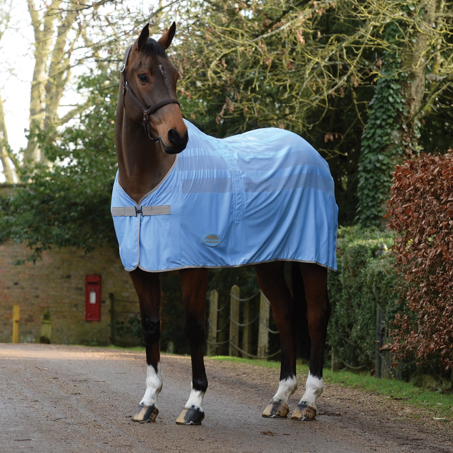 Weatherbeeta Weaterbeeta Scrim Cooler - Image 5