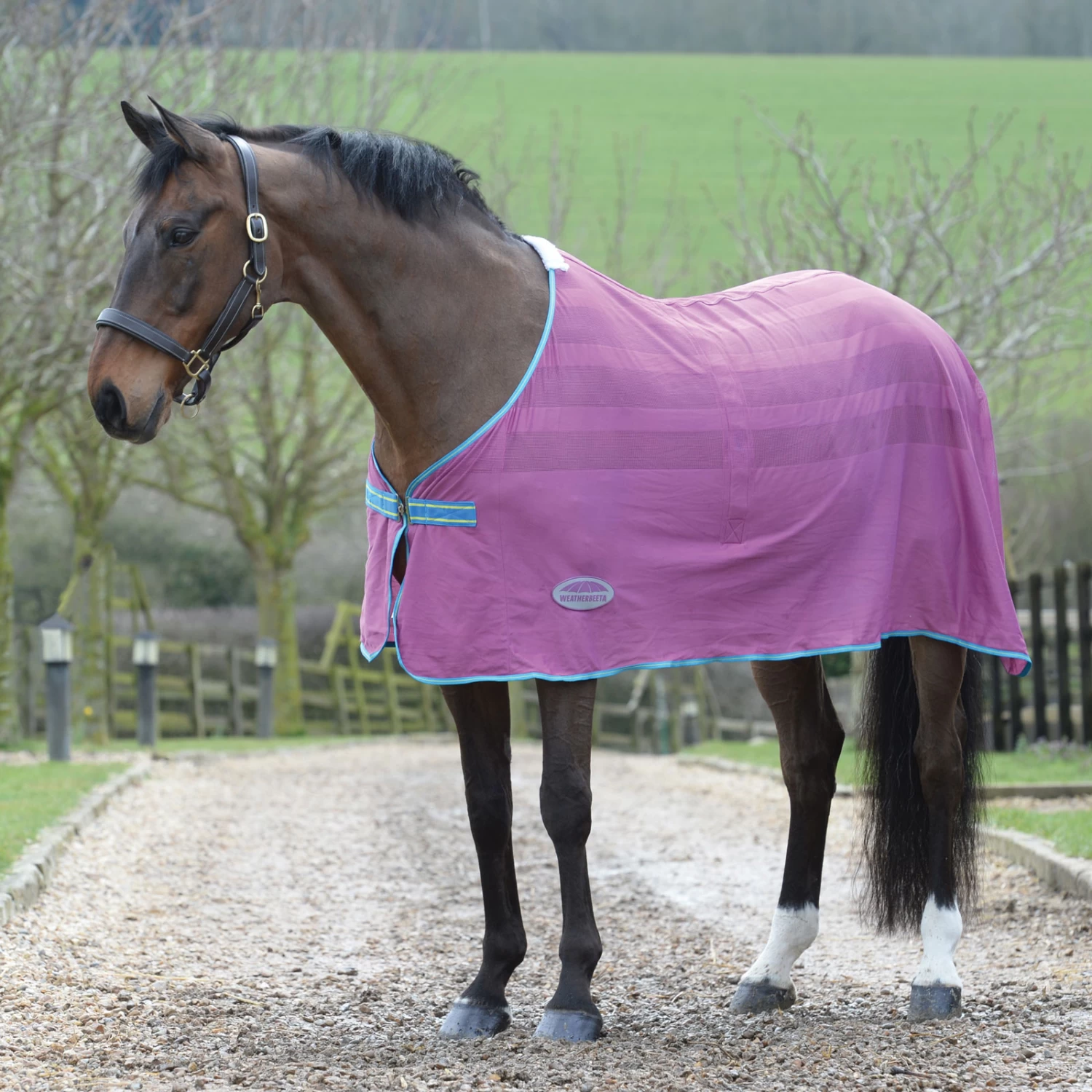 Weatherbeeta Weaterbeeta Scrim Cooler - Image 6