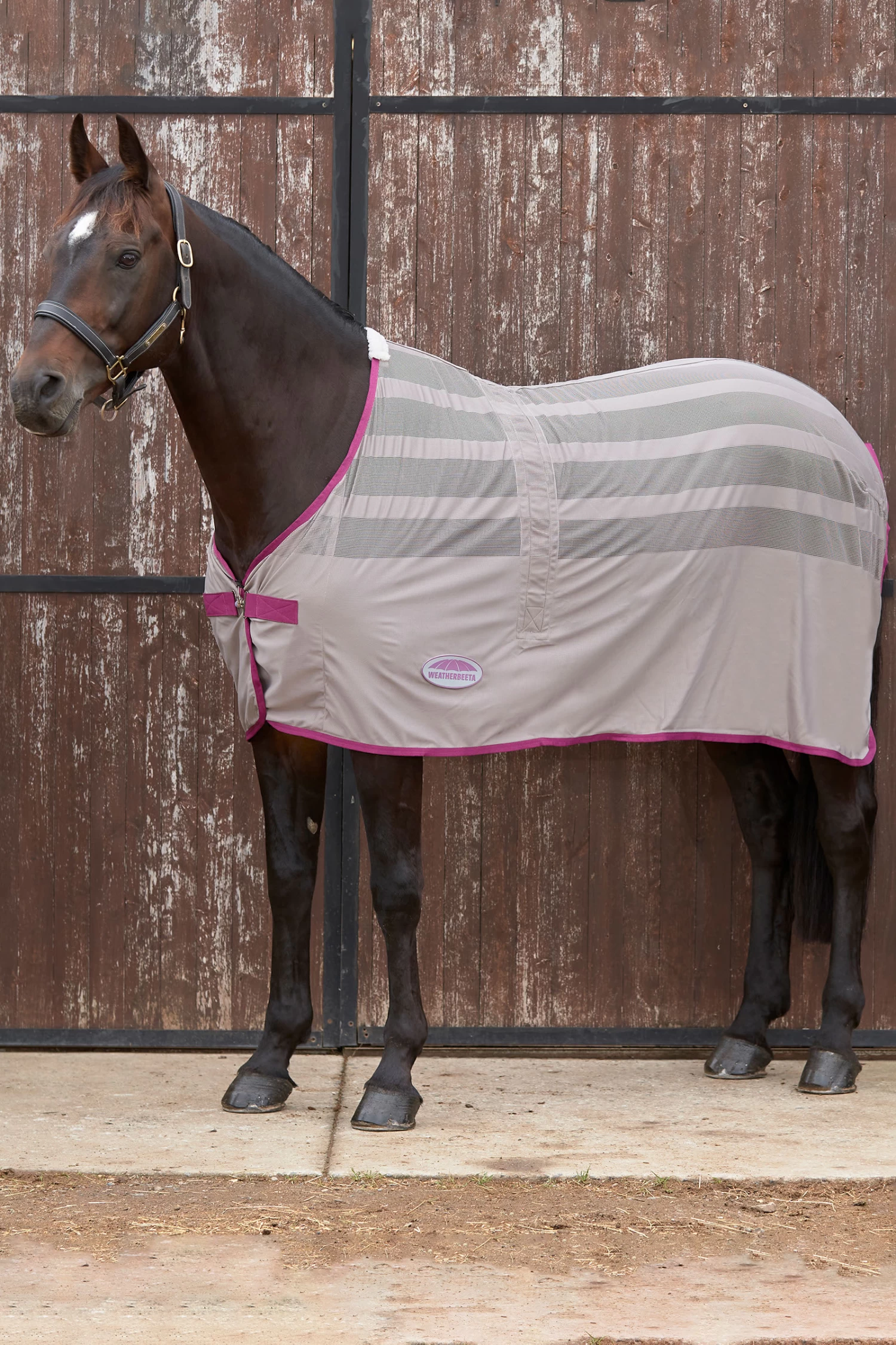 Weatherbeeta Weaterbeeta Scrim Cooler - Image 8