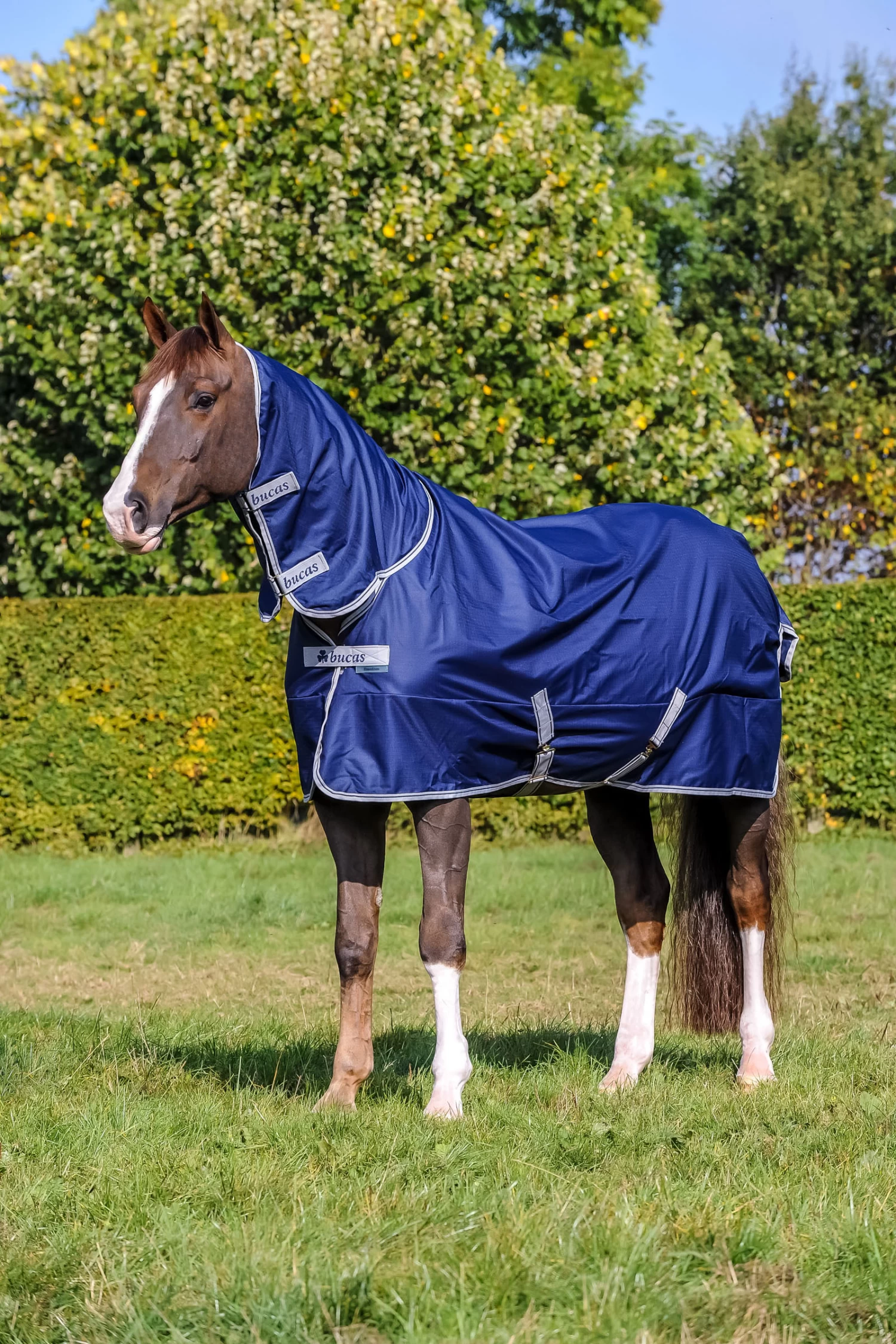 Bucas Freedom Turnout 150/150 Full Neck, Pony - Image 2