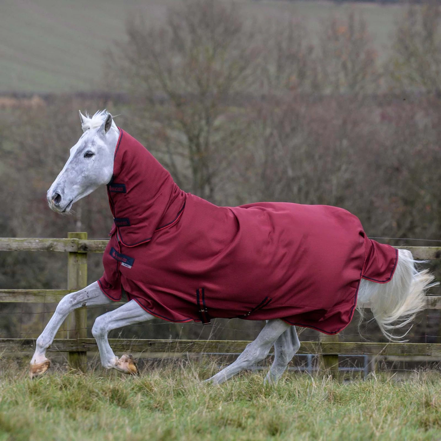 Bucas Freedom Turnout Light Fullneck Pony Turnout With Fixed Neck - Image 4