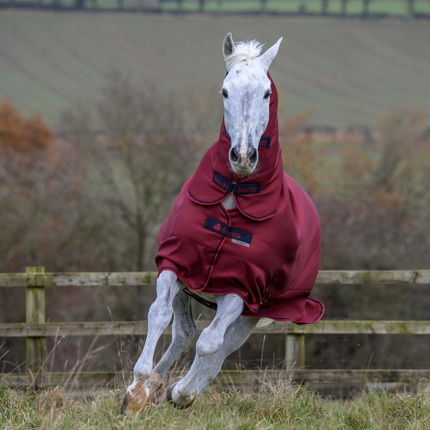 Bucas Freedom Turnout Light Fullneck Pony Turnout With Fixed Neck - Image 5