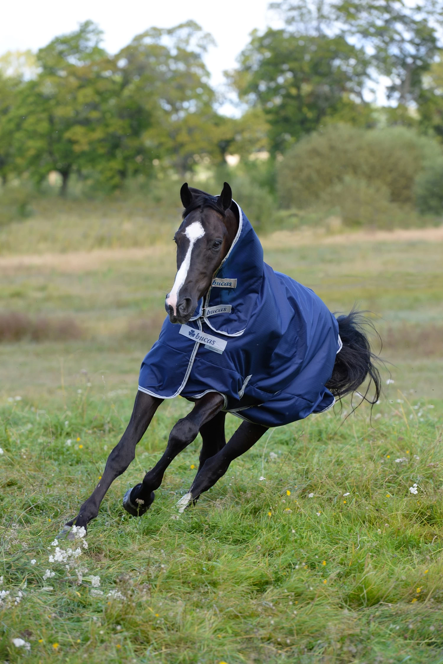 Bucas Freedom Turnout Light Fullneck Pony Turnout With Fixed Neck - Image 3