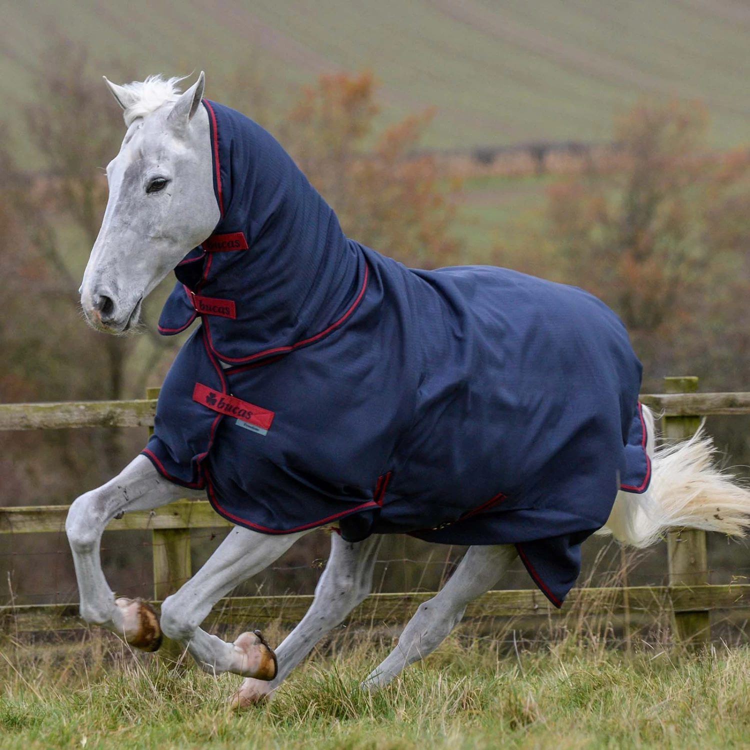 Bucas Freedom Turnout Light Fullneck Pony Turnout With Fixed Neck - Image 6