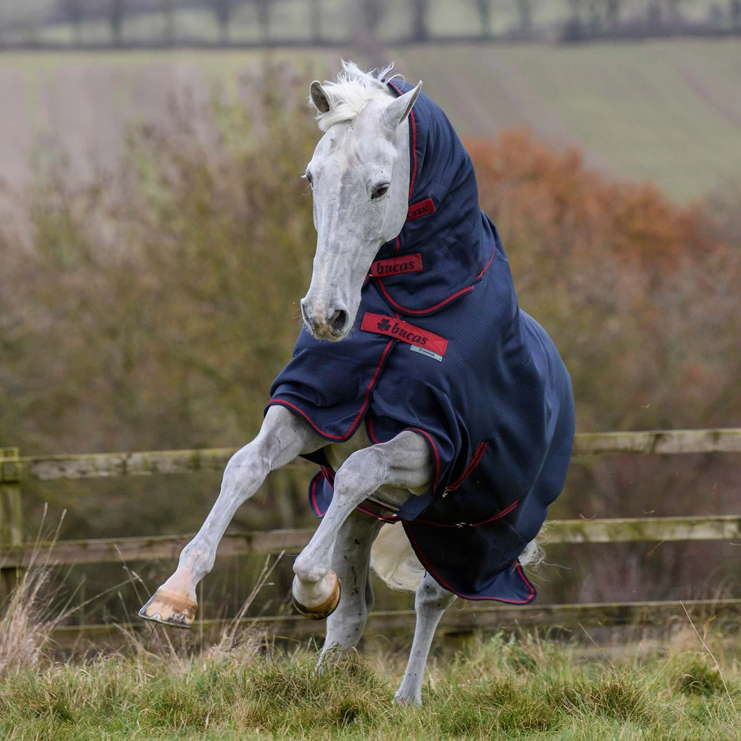 Bucas Freedom Turnout Light Fullneck Pony Turnout With Fixed Neck - Image 7