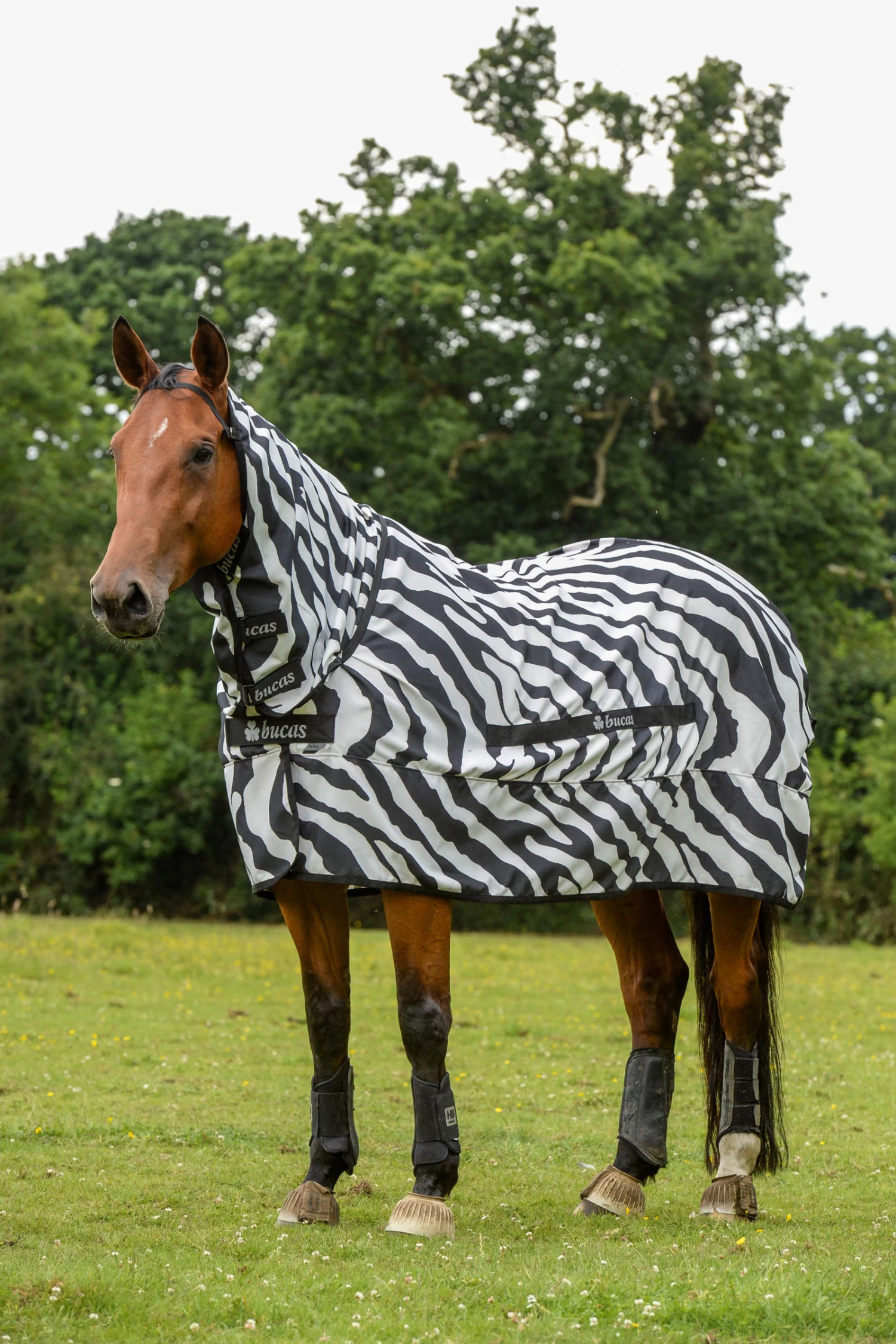 Bucas Sweet-itch Zebra Eczema Full Neck Fly Rug With Fixed Neck