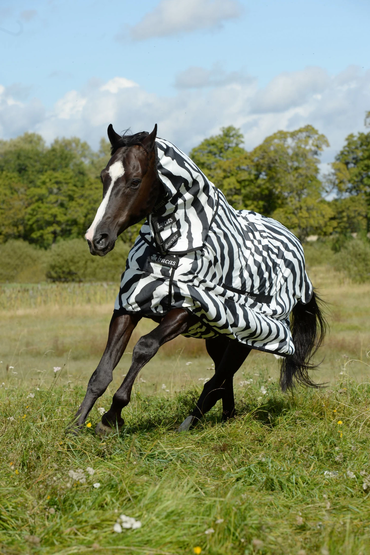 Bucas Sweet-itch Zebra Eczema Full Neck Fly Rug With Fixed Neck - Image 2