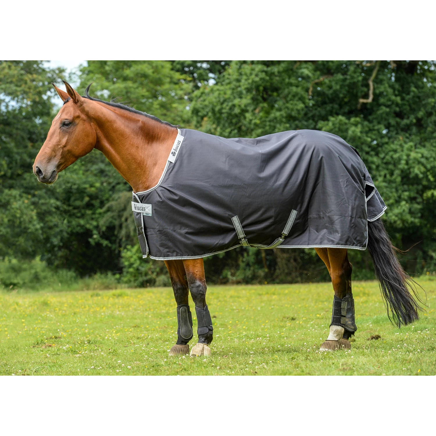 Bucas Smartex Extra Rug 300g - Image 4