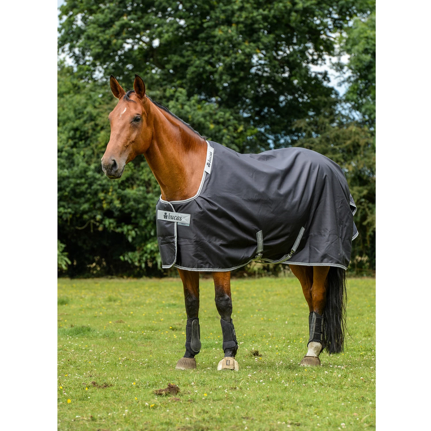 Bucas Smartex Extra Rug 300g - Image 5