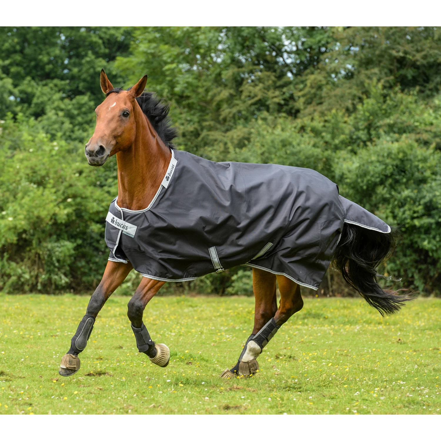 Bucas Smartex Extra Rug 300g - Image 6