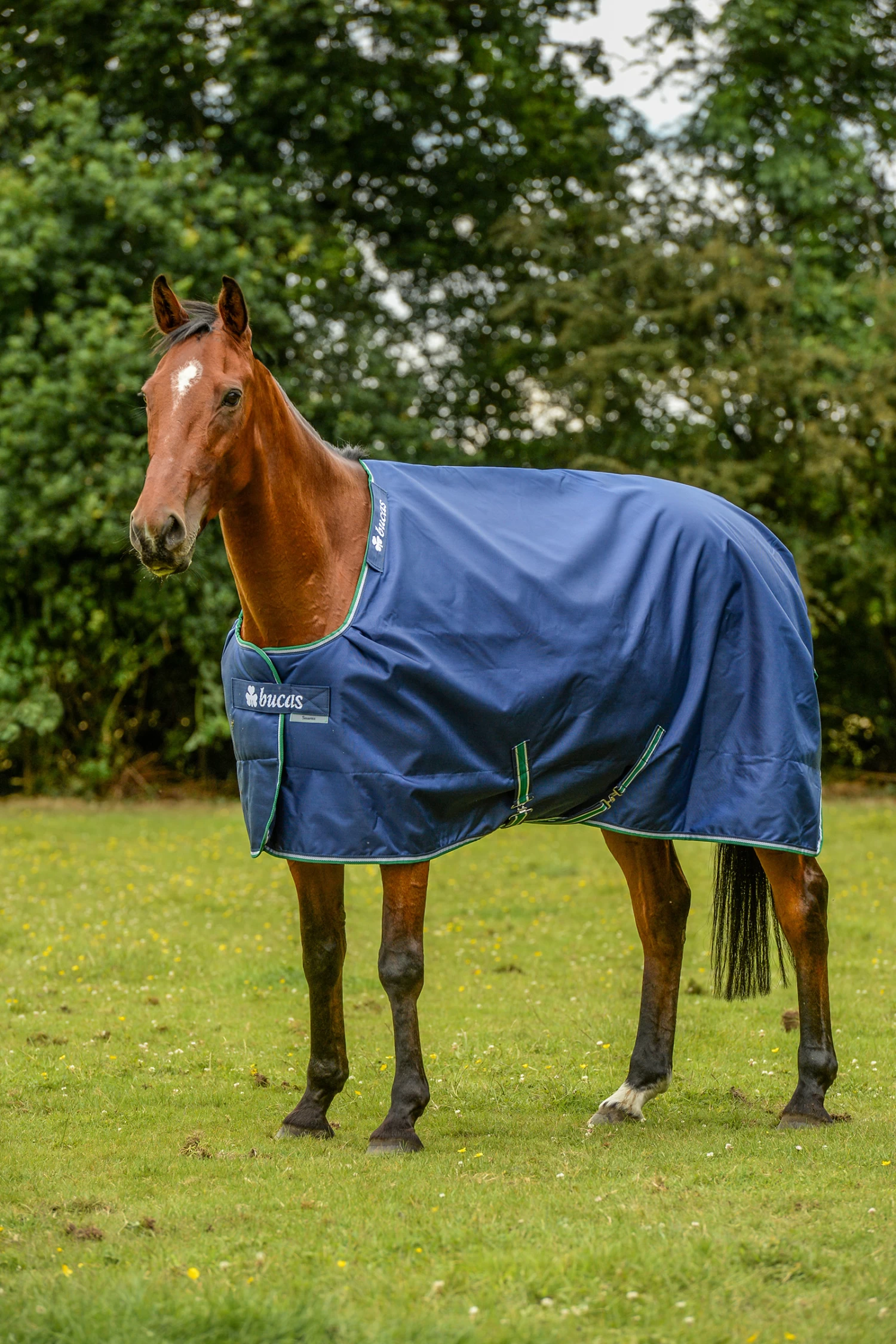 Bucas Smartex Extra Rug 300g