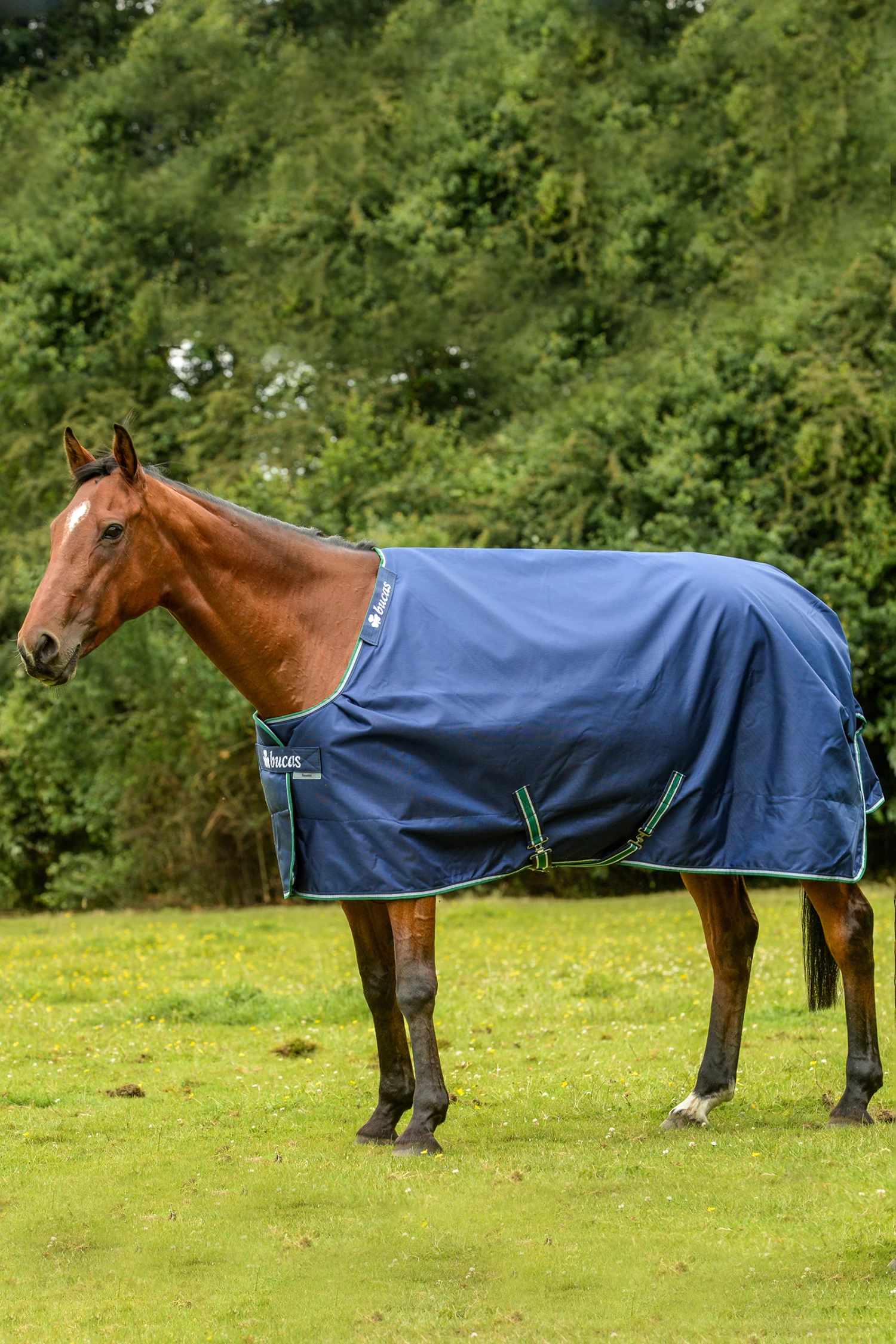 Bucas Smartex Extra Rug 300g - Image 2