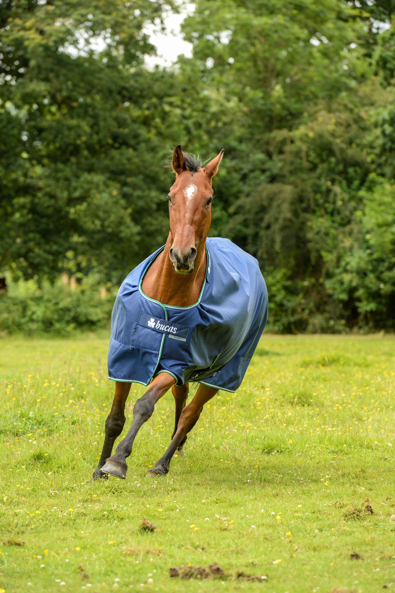 Bucas Smartex Extra Rug 300g - Image 3