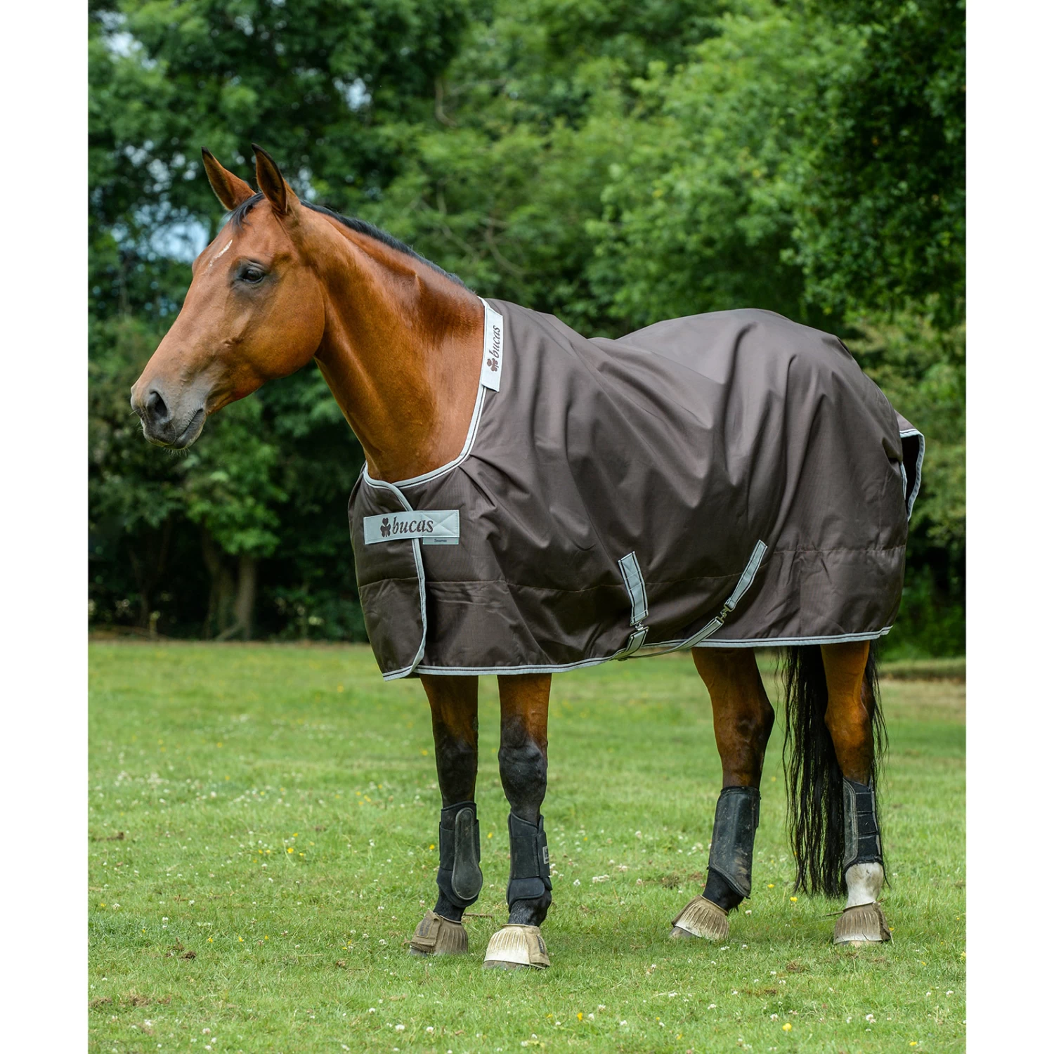 Bucas Smartex Extra Rug 300g - Image 7