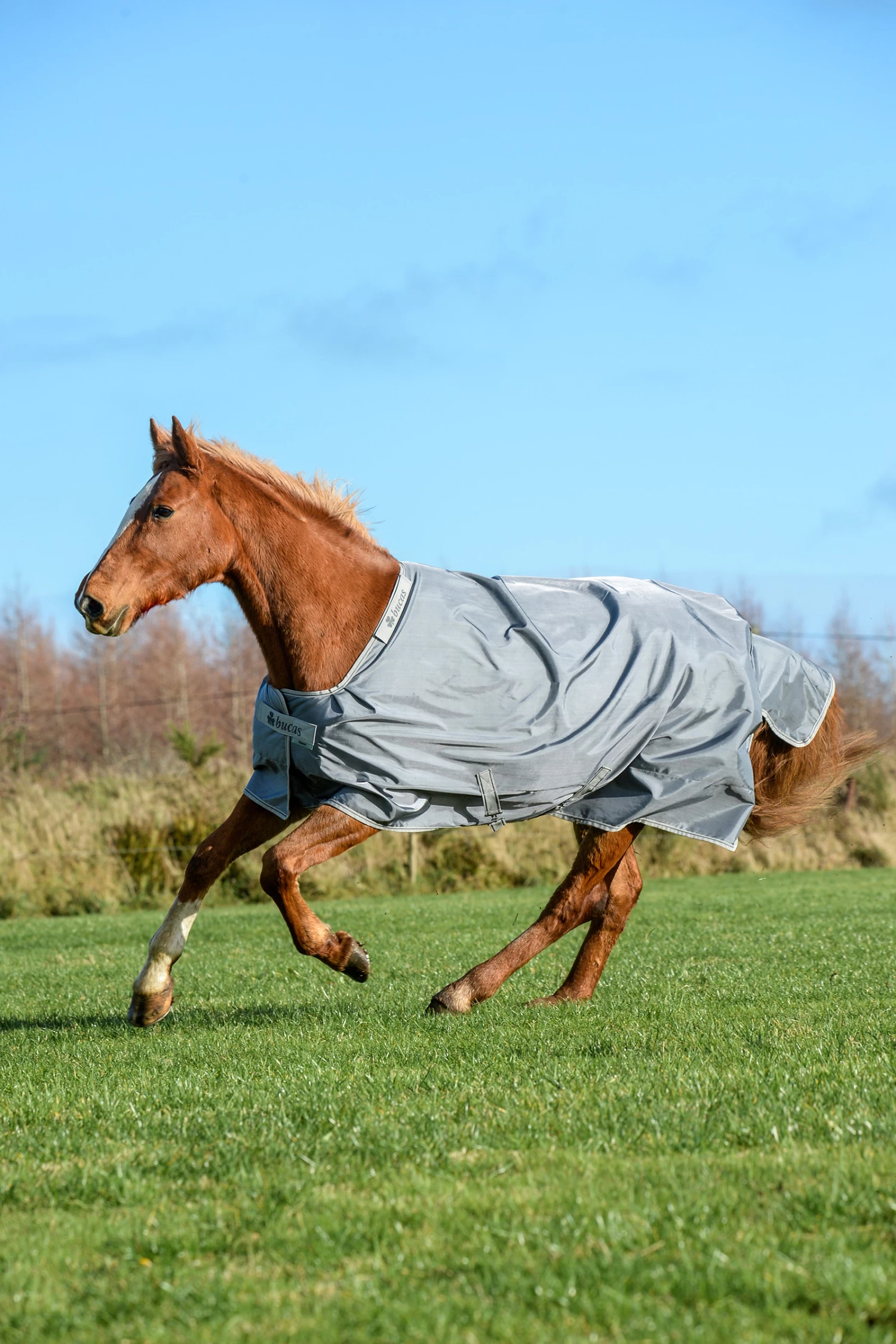 Bucas Smartex Extra Rug 300g - Image 9