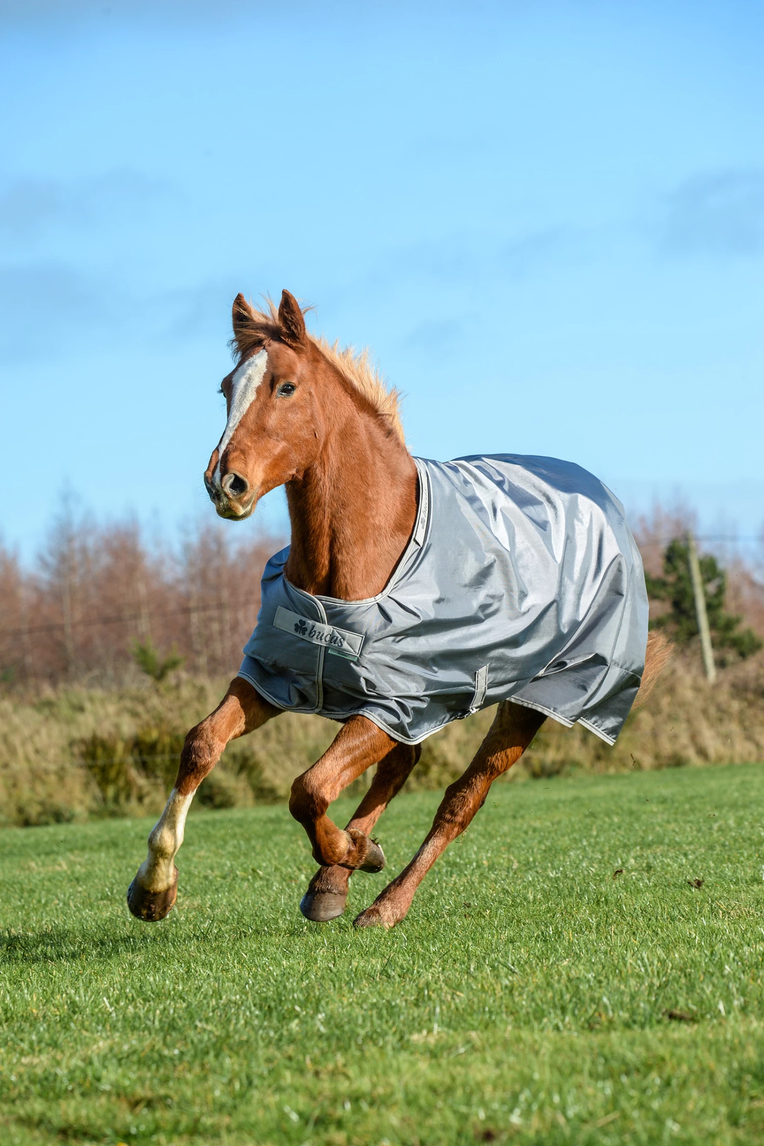 Bucas Smartex Extra Rug 300g - Image 10