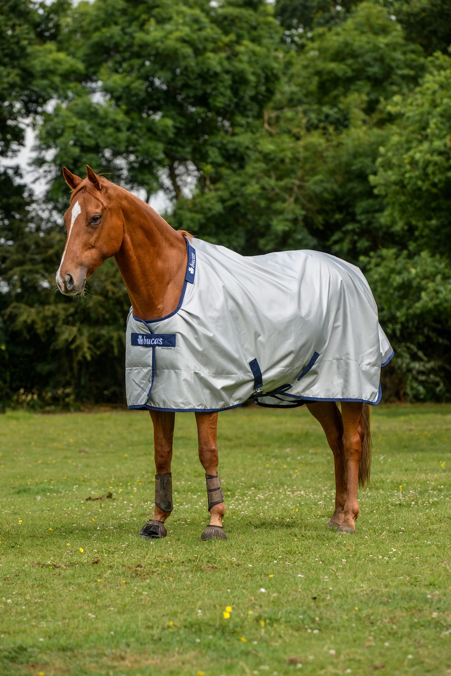 Bucas Power Turnout Extra Turnout Rug With Cooling Function, 300g - Image 3