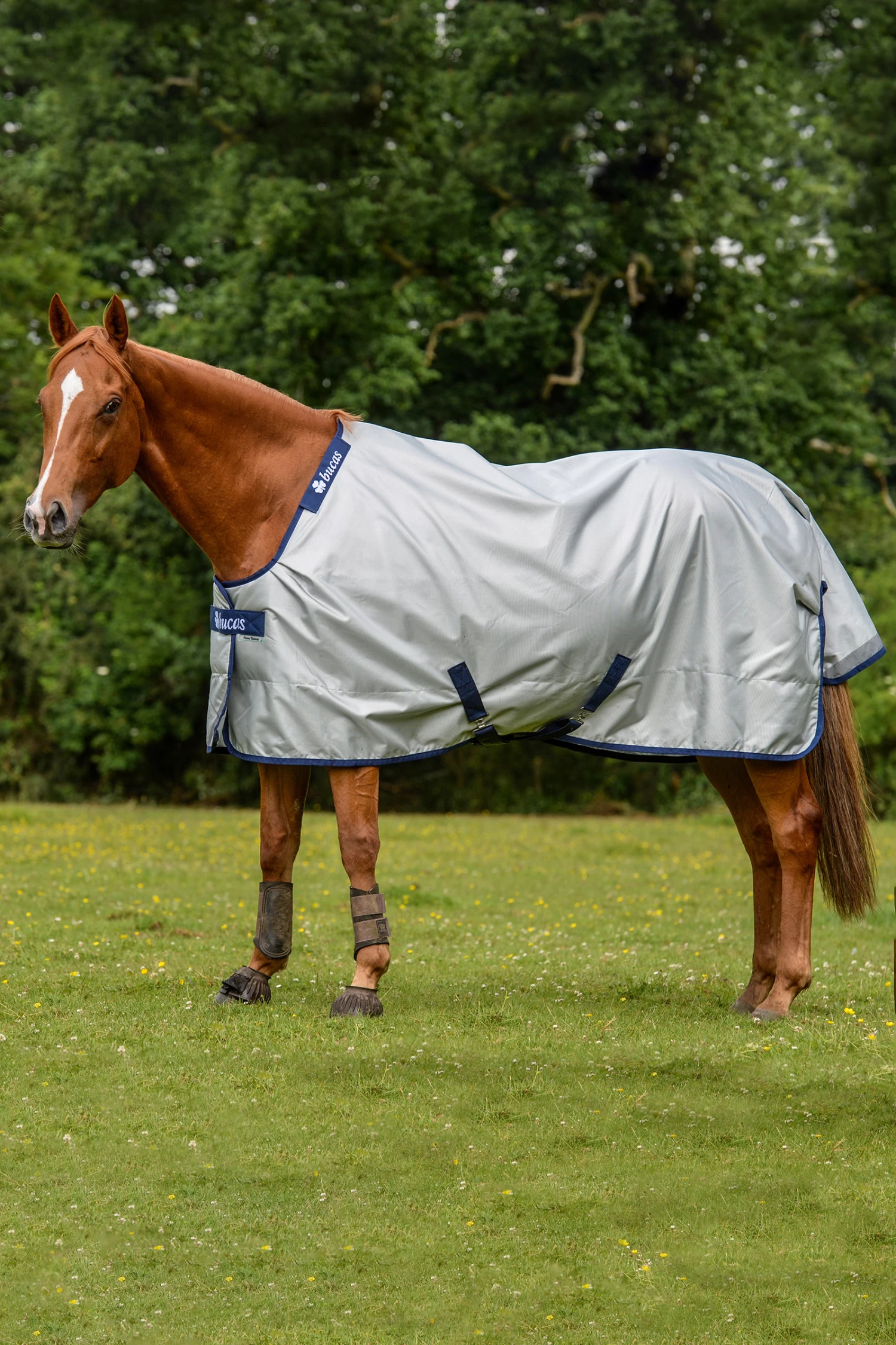 Bucas Power Turnout Extra Turnout Rug With Cooling Function, 300g - Image 4
