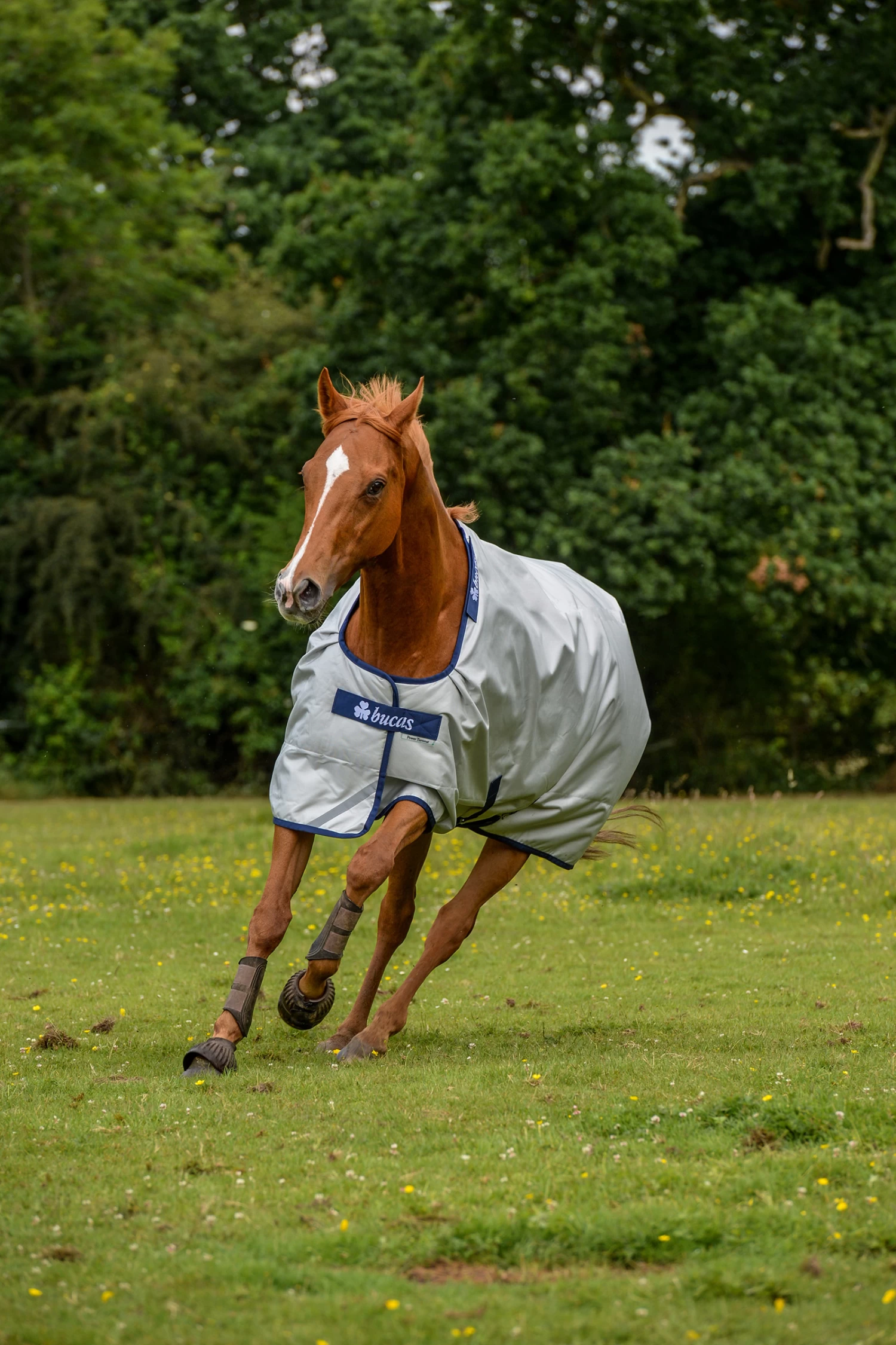 Bucas Power Turnout Extra Turnout Rug With Cooling Function, 300g - Image 5