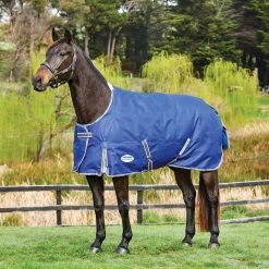 Weatherbeeta Comfitec Premier Free Turnout Rug, 0g