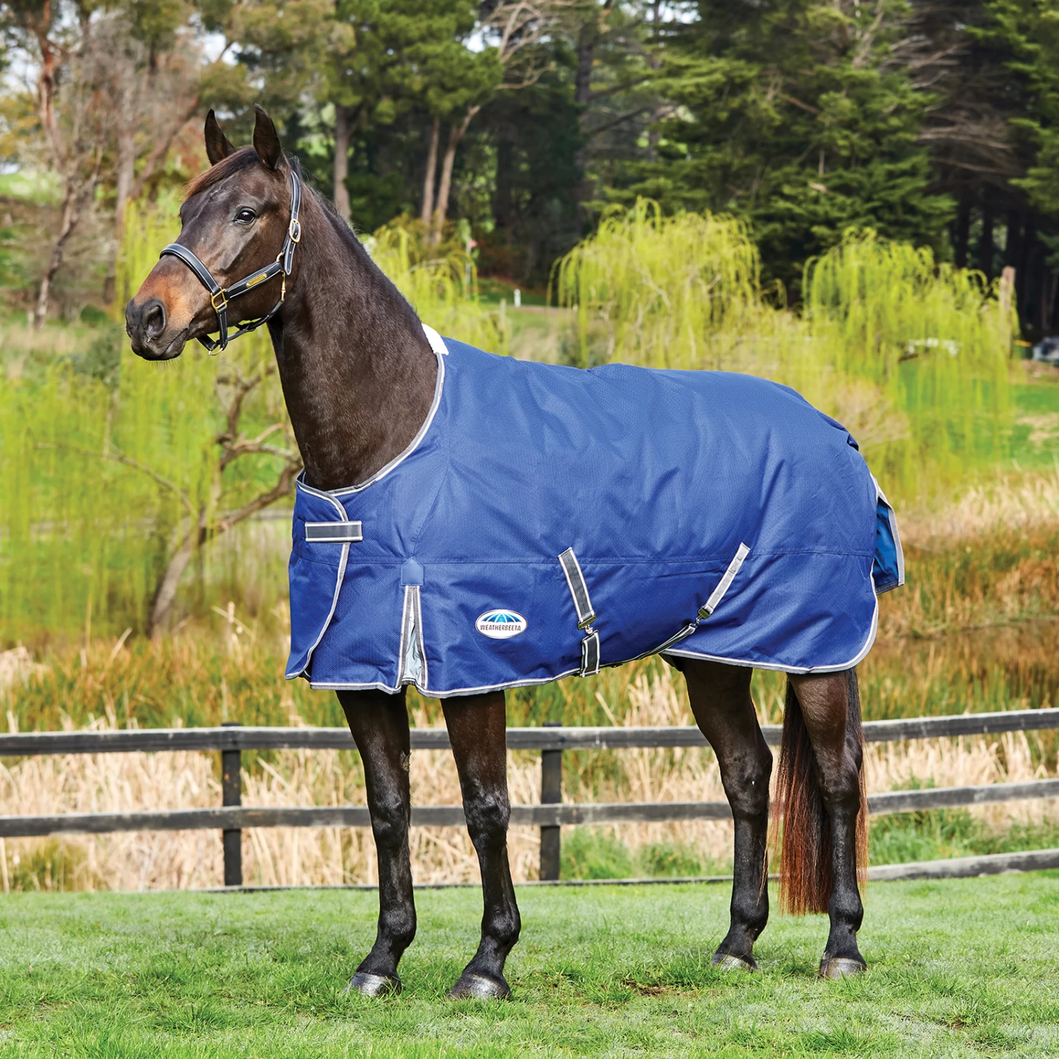 Weatherbeeta Comfitec Premier Free Turnout Rug, 0g