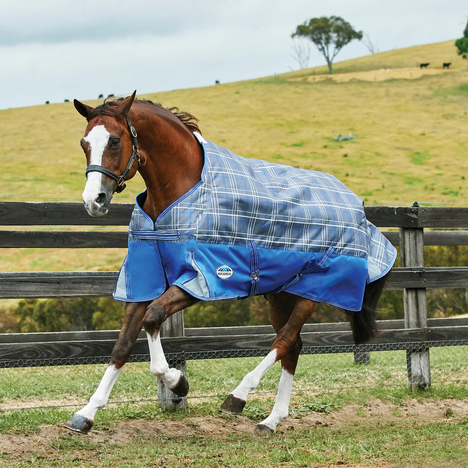 Weatherbeeta Comfitec Premier Free Turnout Rug, 0g - Image 2