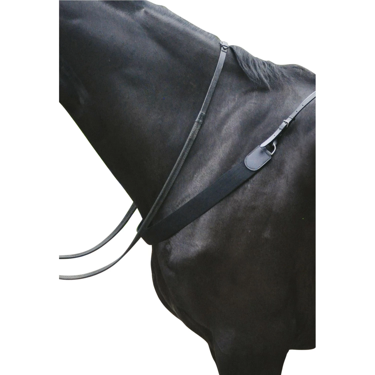 Kincade Elastic Showjumping Breastplate II