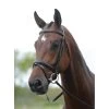 Kincade Flash Bridle II